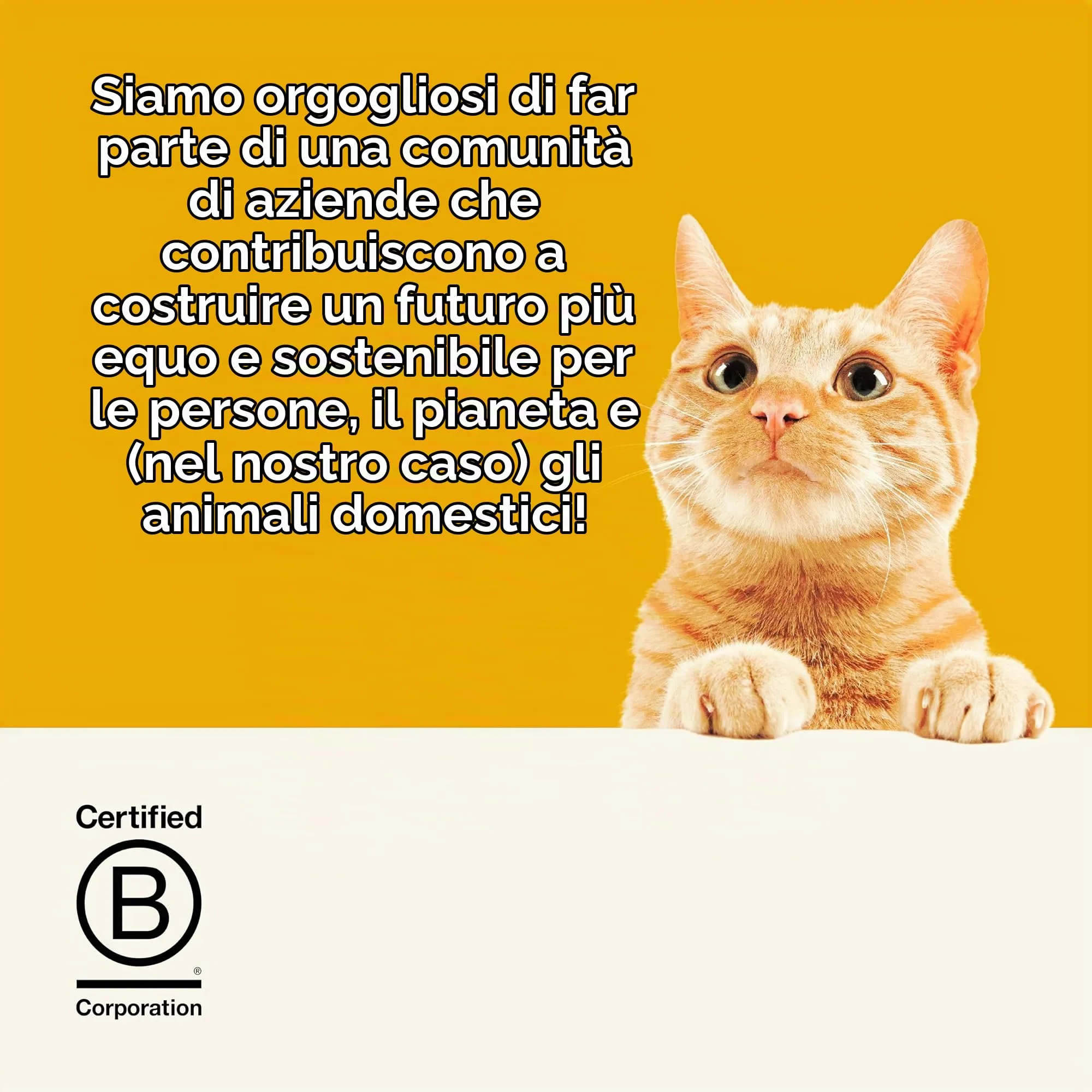 Applaws Complete Naturale Grain Free Pollo con Extra di Agnello Alimento secco per gatti adulti, 400g - immagine 6