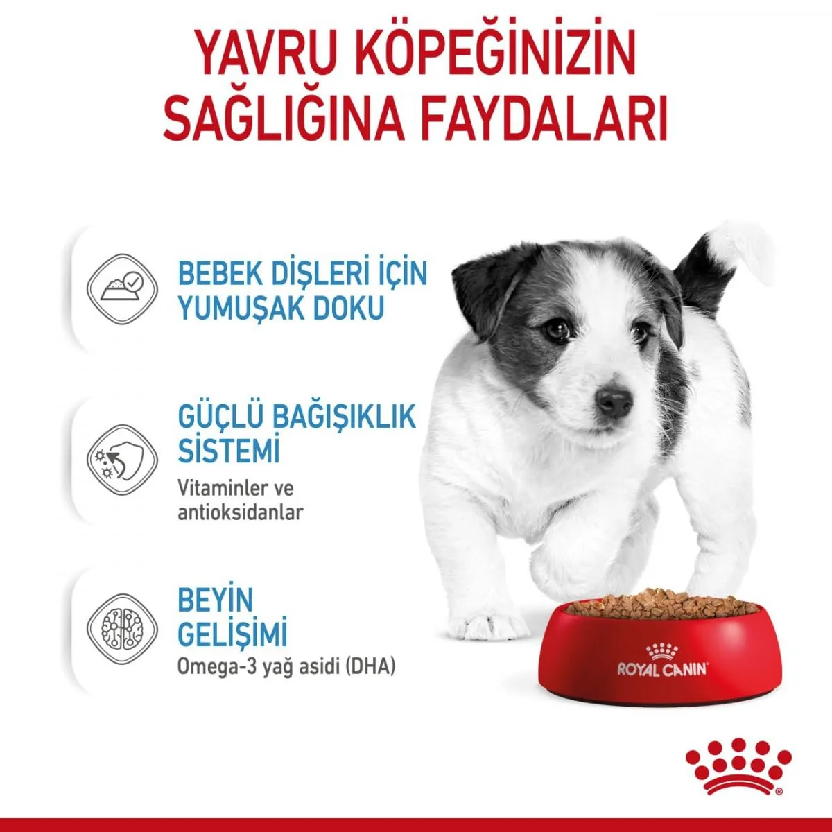 Royal Canin Puppy Mini 12x85g - immagine 5