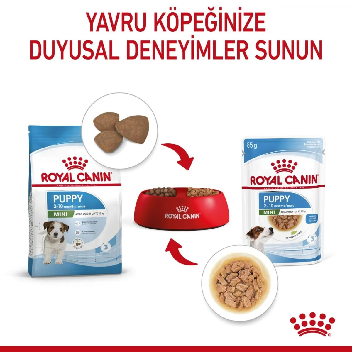 Royal Canin Puppy Mini 12x85g - immagine 7