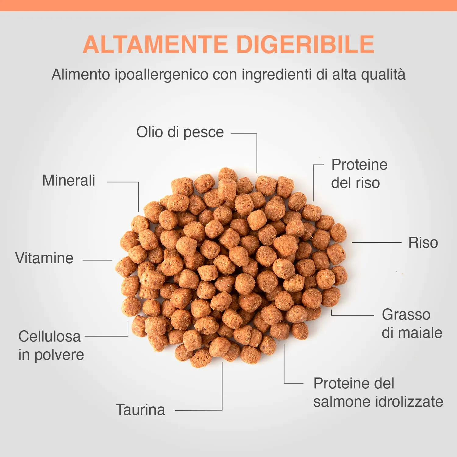 Specific Food Allergen Management (FDD-HY) 400 g - immagine 3