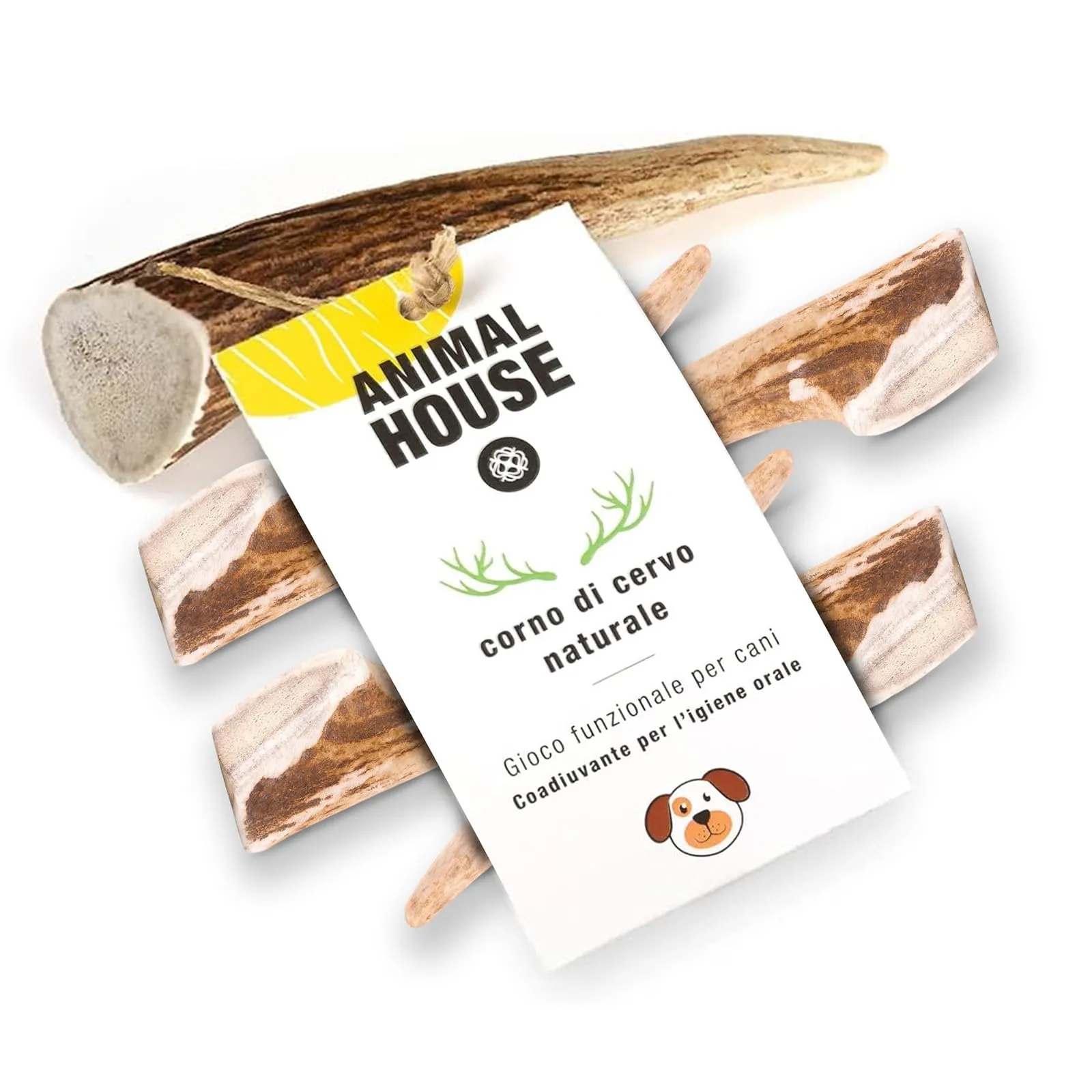 Animal House Corna di Cervo per Cani Intere, 5 Pezzi, XS - immagine 1