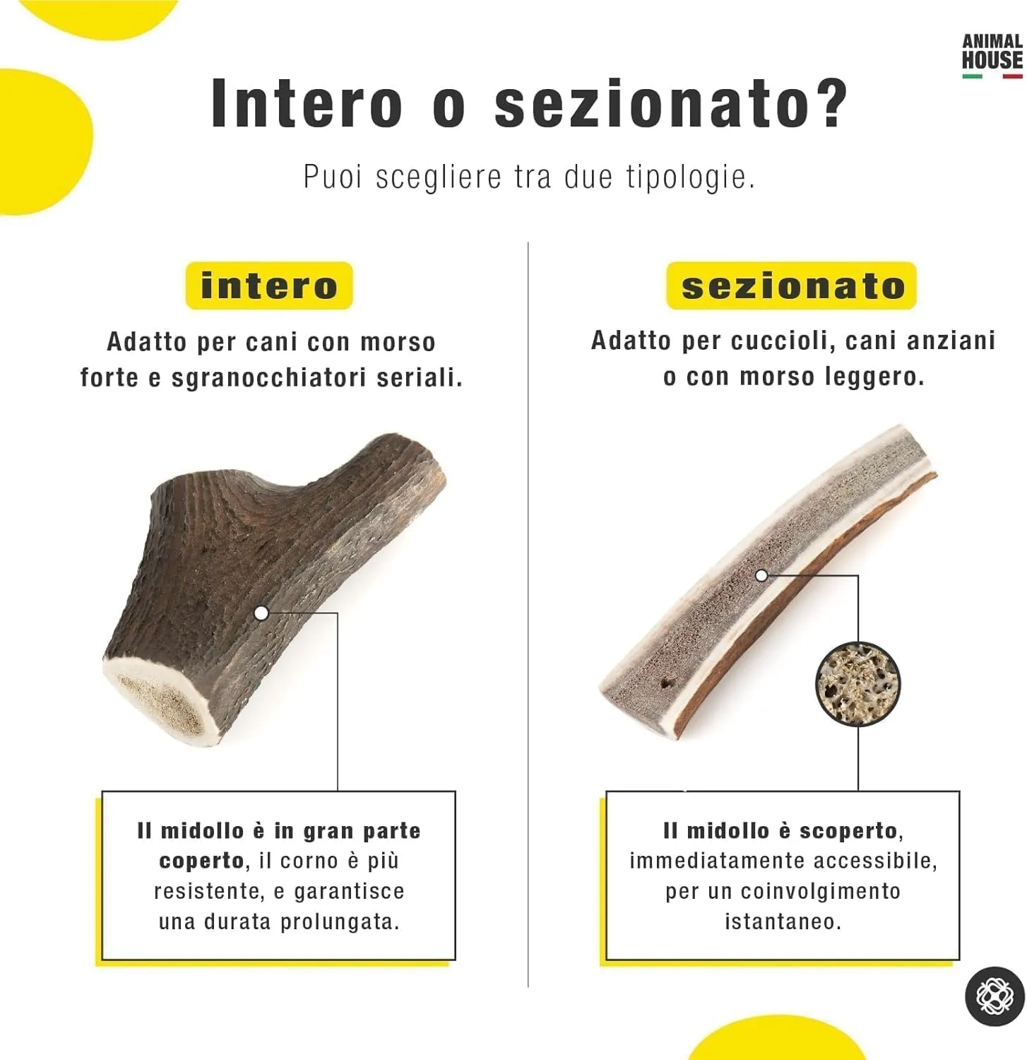 Animal House Corna di Cervo per Cani Intere, 5 Pezzi, XS - immagine 4