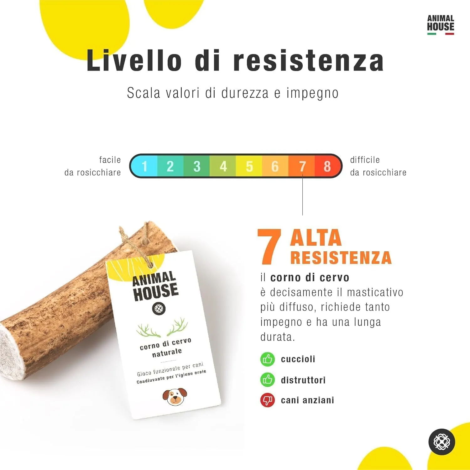 Animal House Corna di Cervo per Cani Intere, 4 Pezzi, S - immagine 6