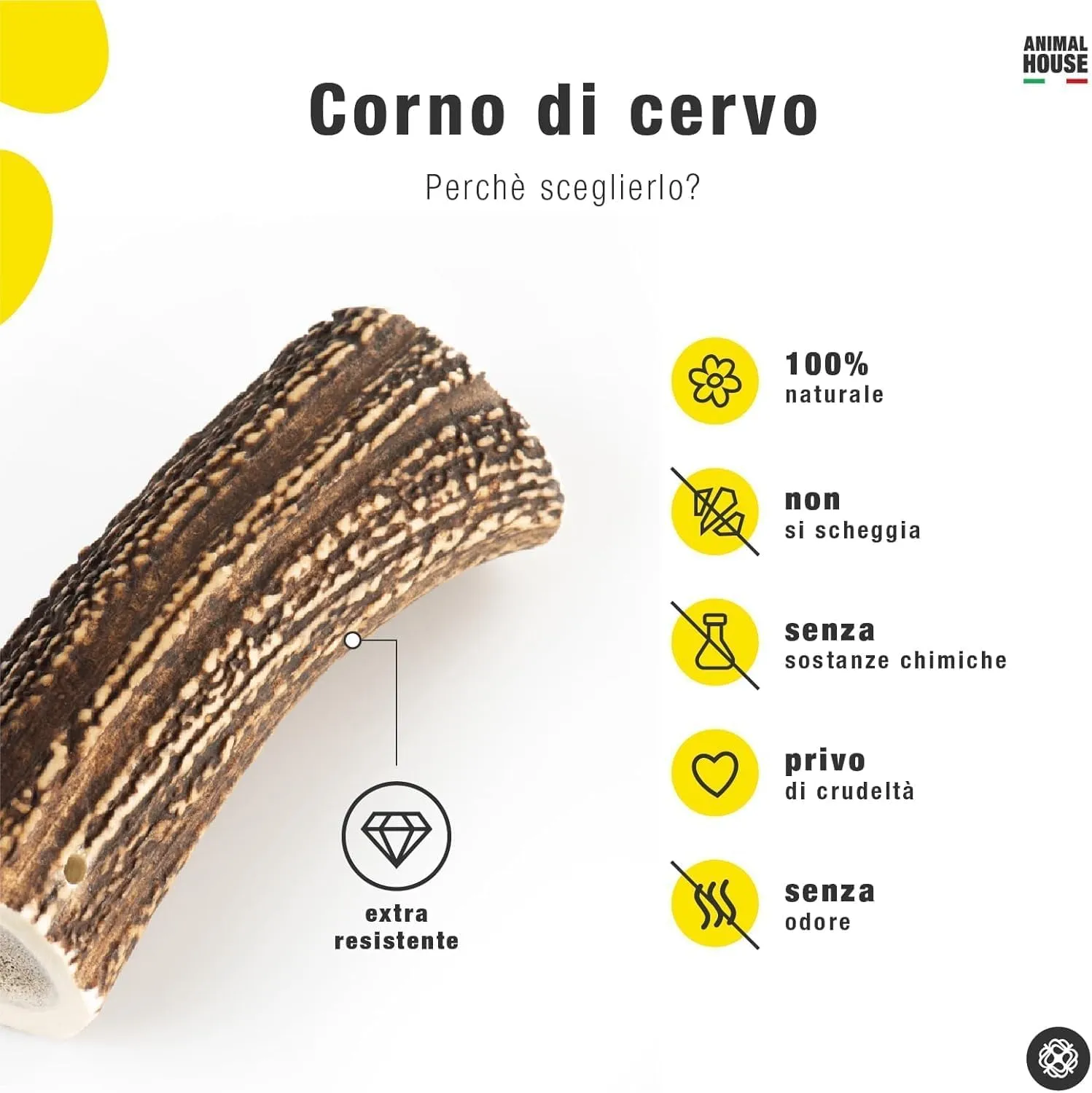 Animal House Corna di Cervo per Cani, XL, 2 Pezzi - immagine 2
