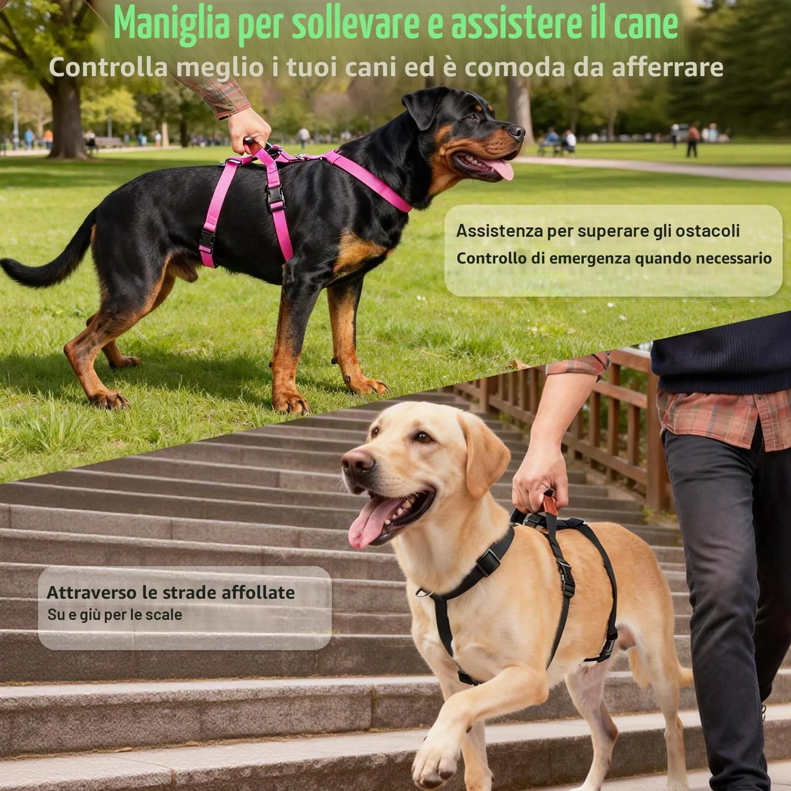 Ledeak Pettorina Cane Antifuga e Anti Tiro per Taglia Media e Grande, Regolabile con Maniglia, Traspirante (Verde Scuro, L) - immagine 6