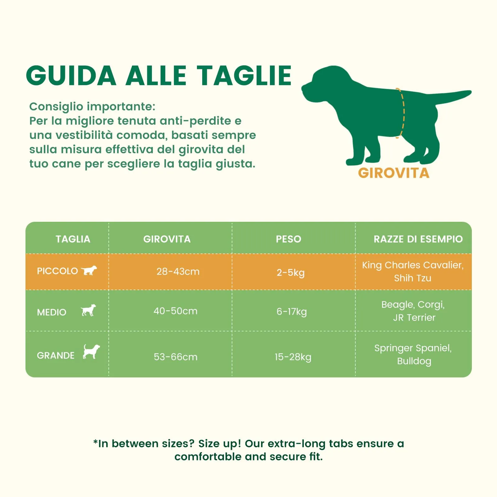 Gardner Pet Pannolini per Cani Maschi, Taglia S, 50 Pezzi - immagine 2