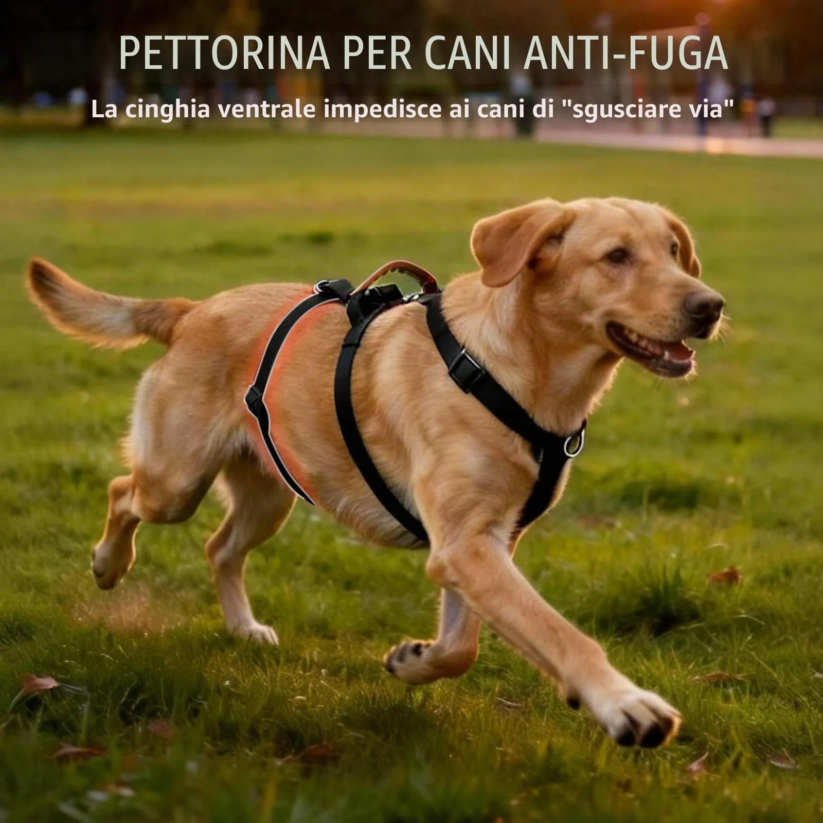Ledeak Pettorina Antifuga e Anti Tiro per Cani Taglia Media e Grande, Regolabile con Maniglia (Nero, L) - immagine 3