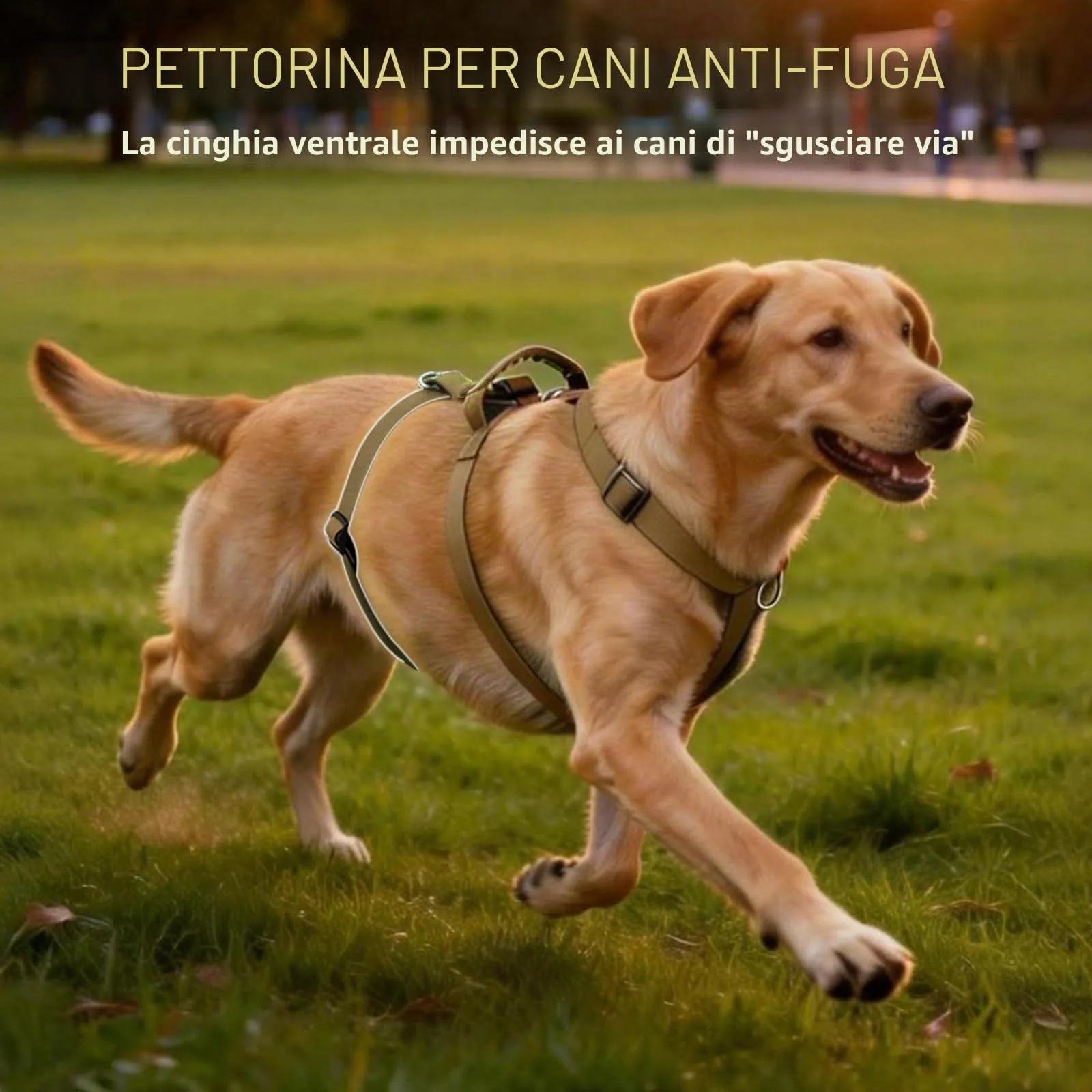 Ledeak Pettorina Cane Antifuga e Anti Tiro con Maniglia, Taglia L, Cachi - immagine 3
