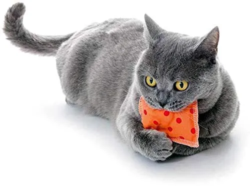4Cats Valerian Schmusekissen Cuscino - 4p Sparpack - immagine 6