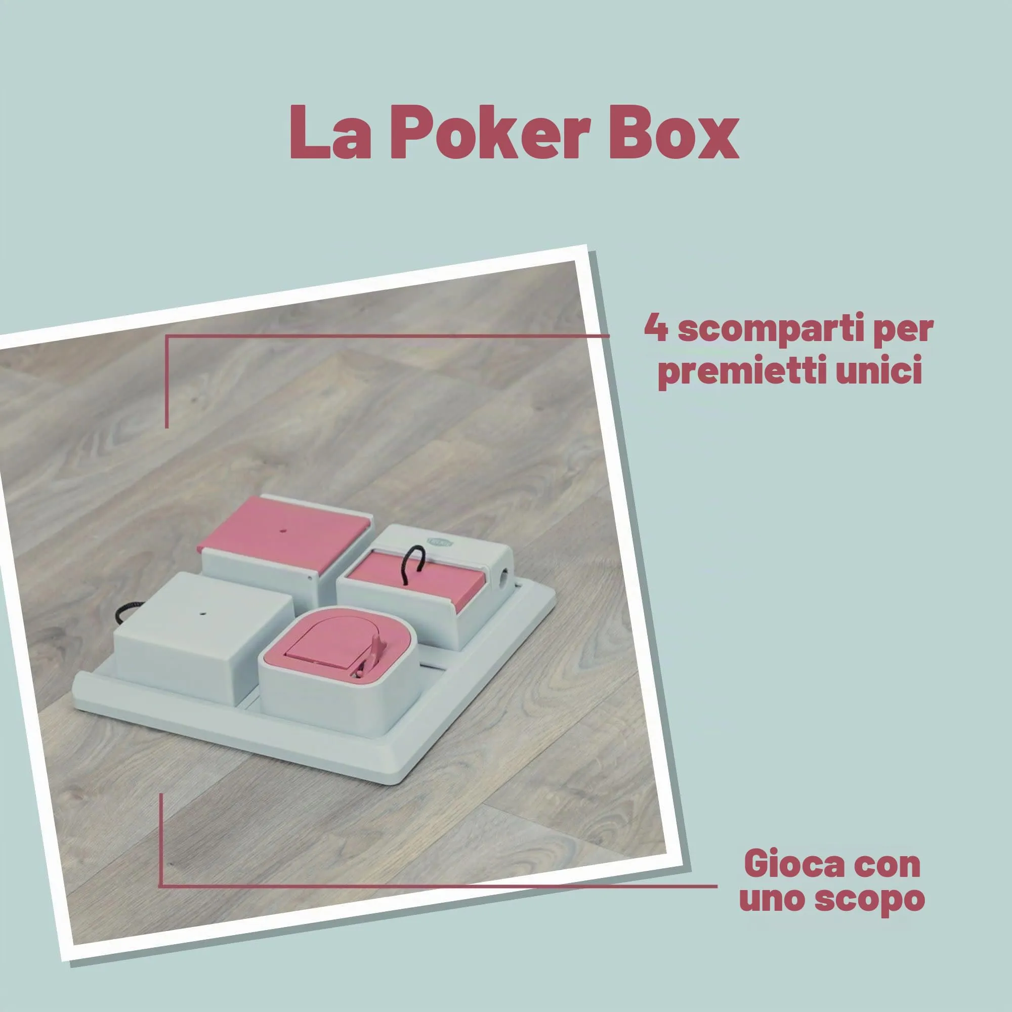Trixie Modulo Interattivo Attività di Gioco per Gatti - immagine 4