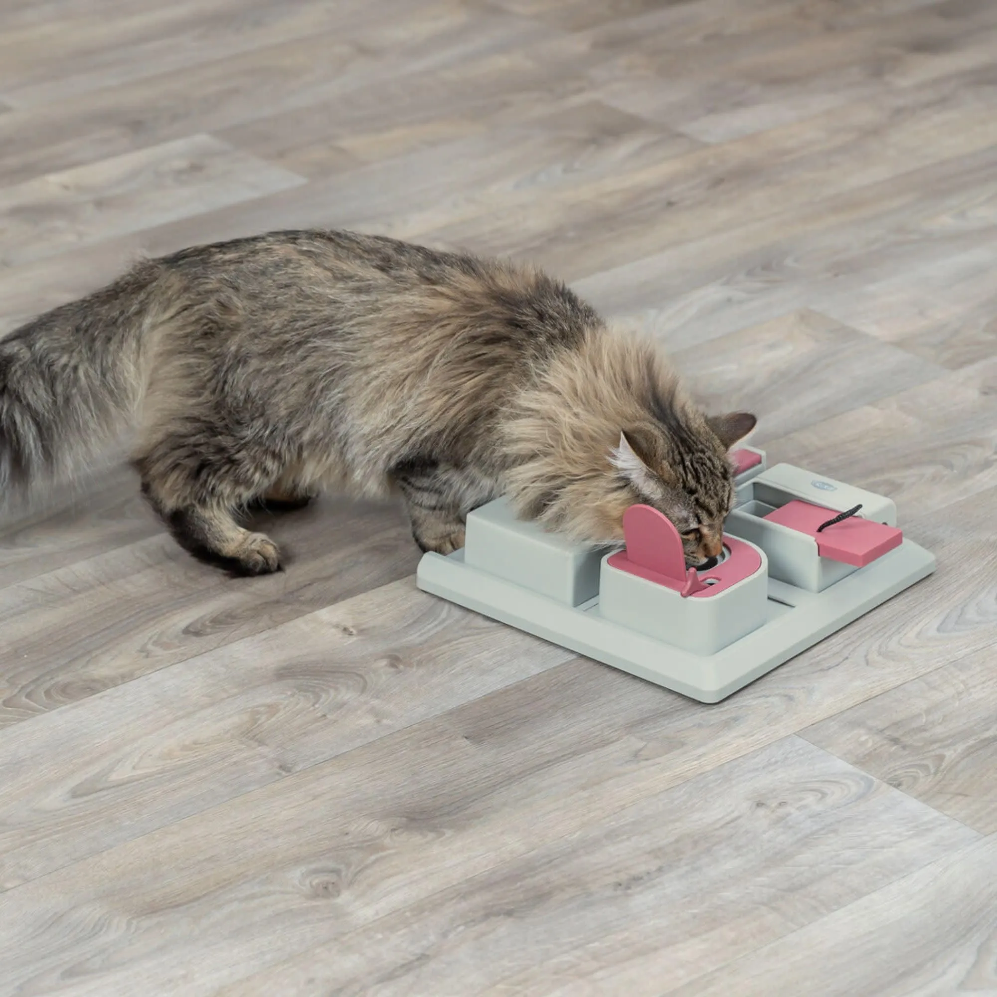 Trixie Modulo Interattivo Attività di Gioco per Gatti - immagine 5