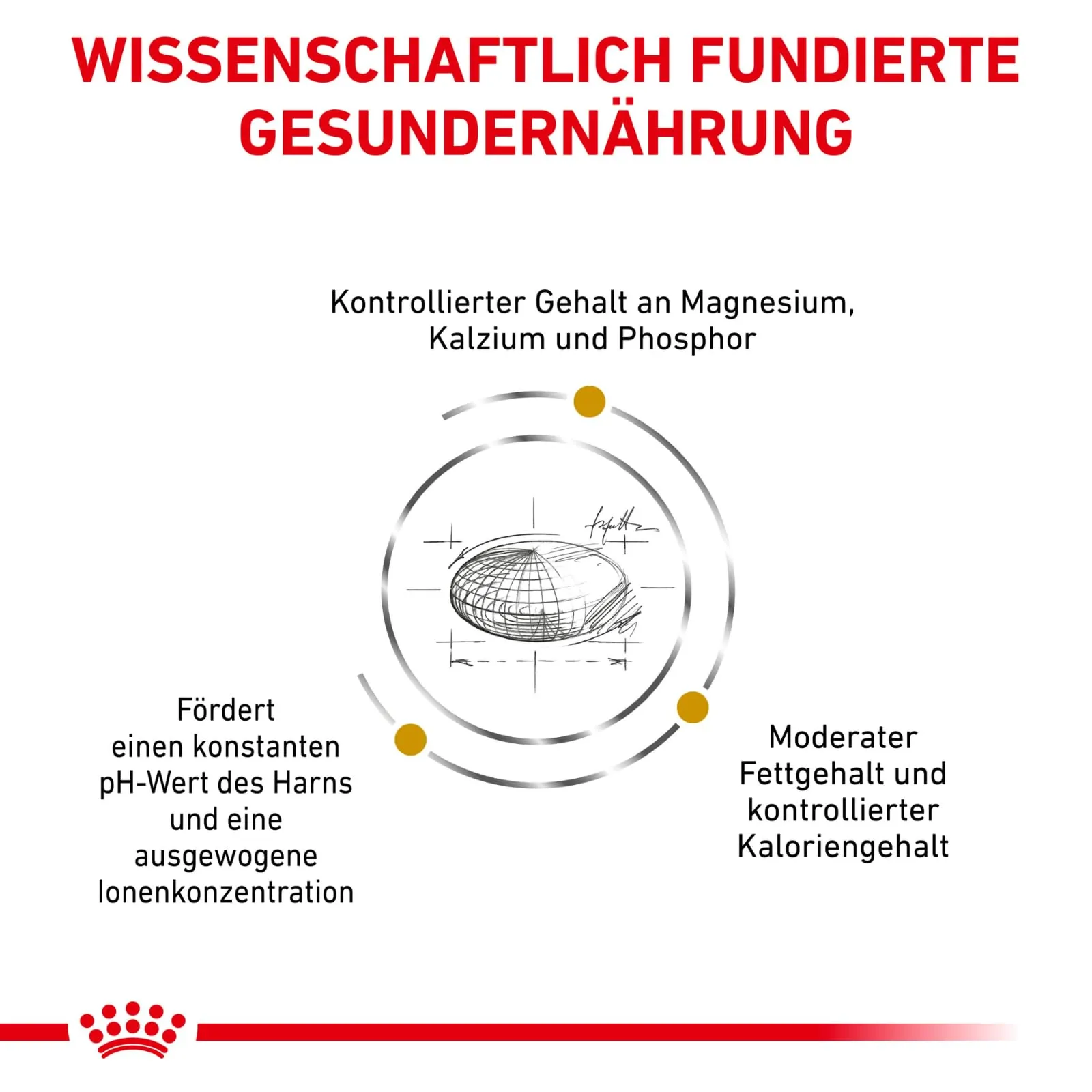 Royal Canin Urinary S/O Cat Food, Veterinary Diet, 7 kg - immagine 3