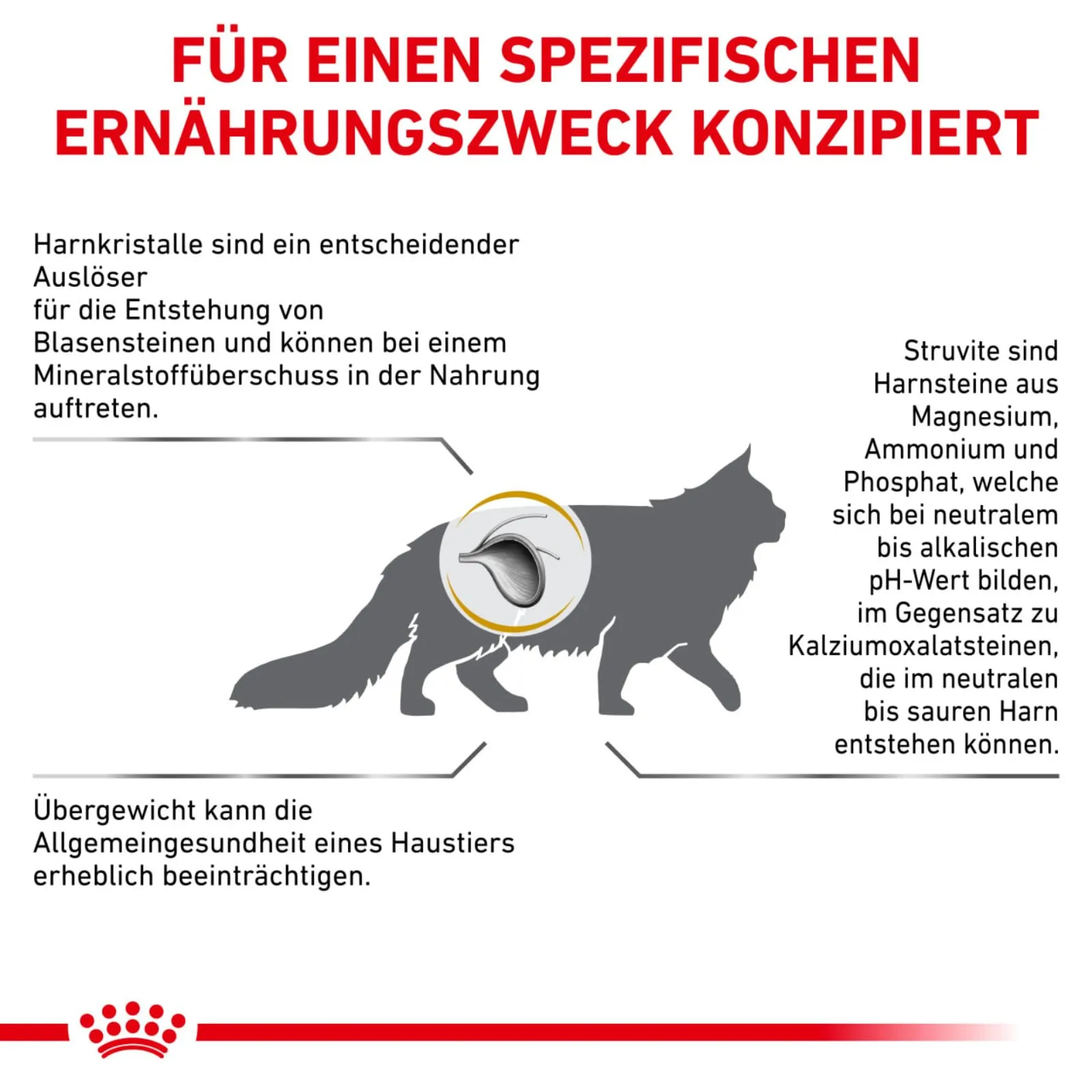 Royal Canin Urinary S/O Cat Food, Veterinary Diet, 7 kg - immagine 6