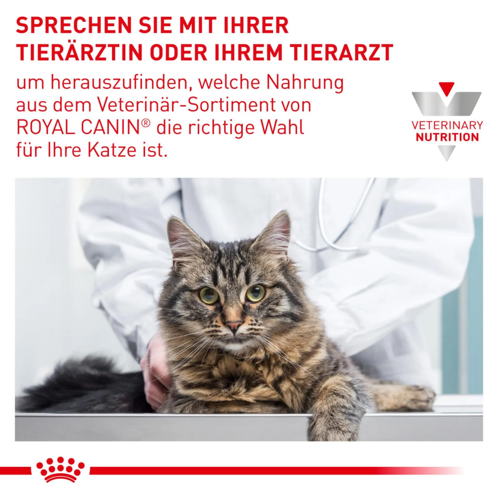 Royal Canin Urinary S/O Cat Food, Veterinary Diet, 7 kg - immagine 9