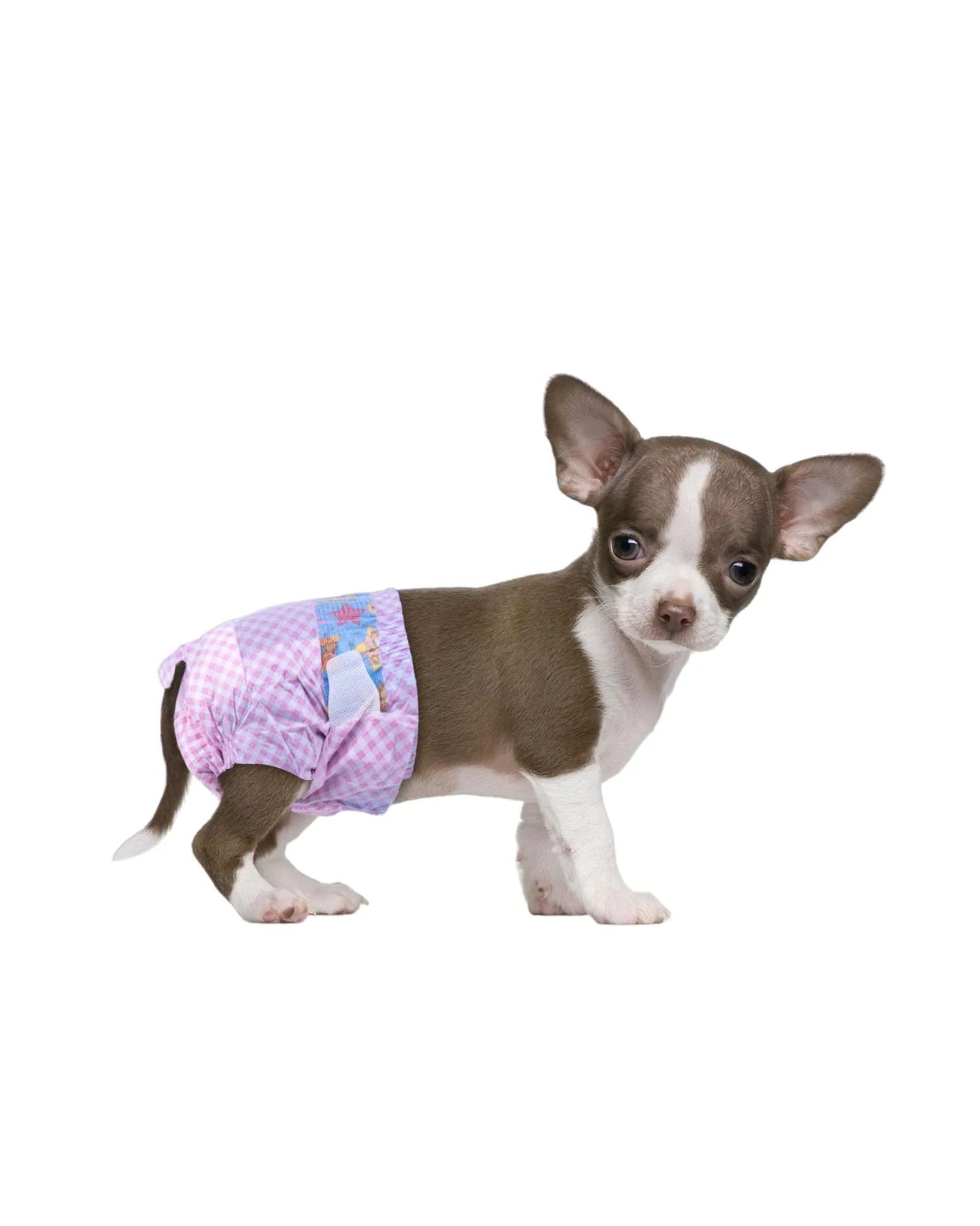 Flying Paws Pannolini usa e getta per cani, XXS, 40 Pezzi - immagine 1