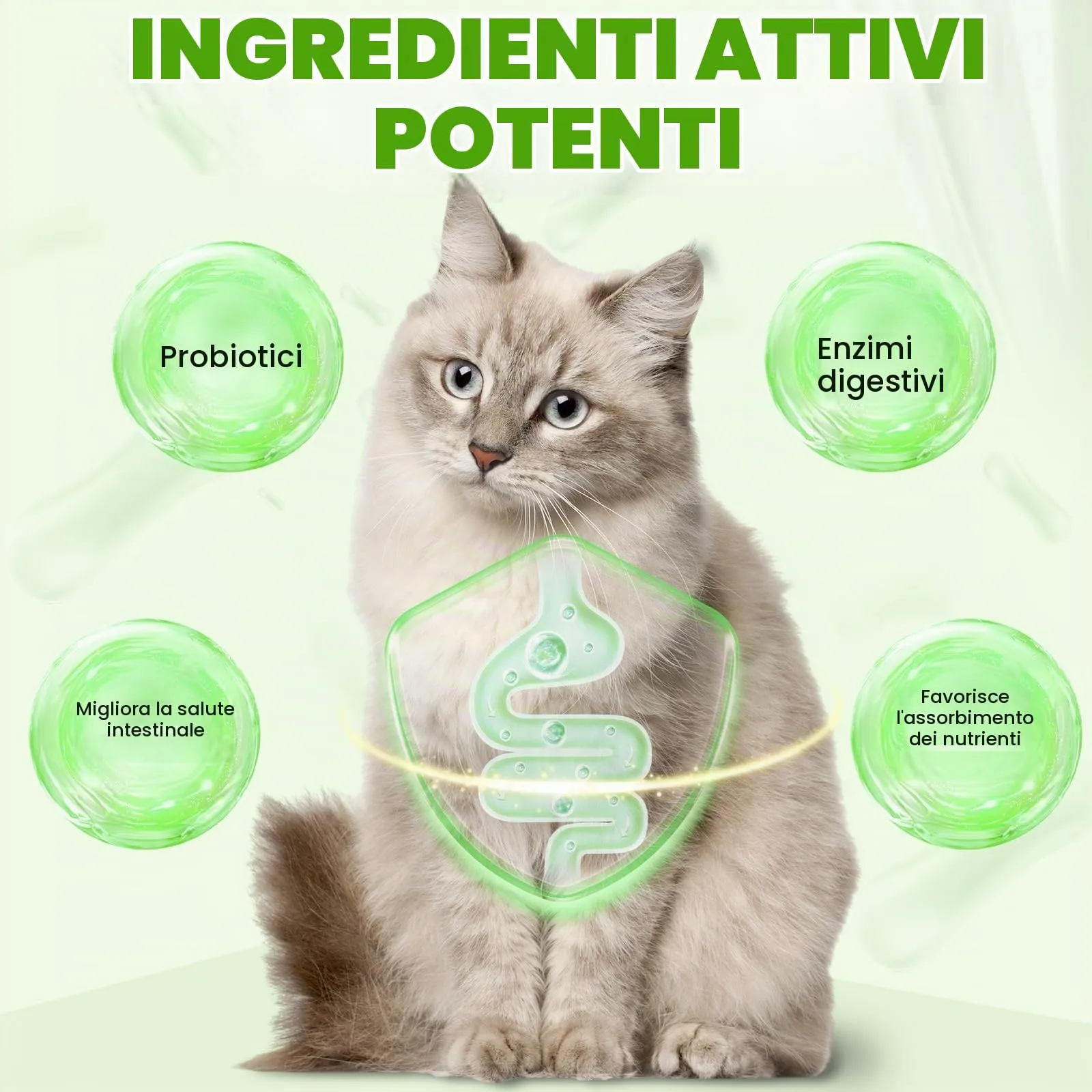 WANFAER Gocce Probiotiche 3 in 1 per Gatti con Enzimi Digestivi, 60 ml - immagine 3
