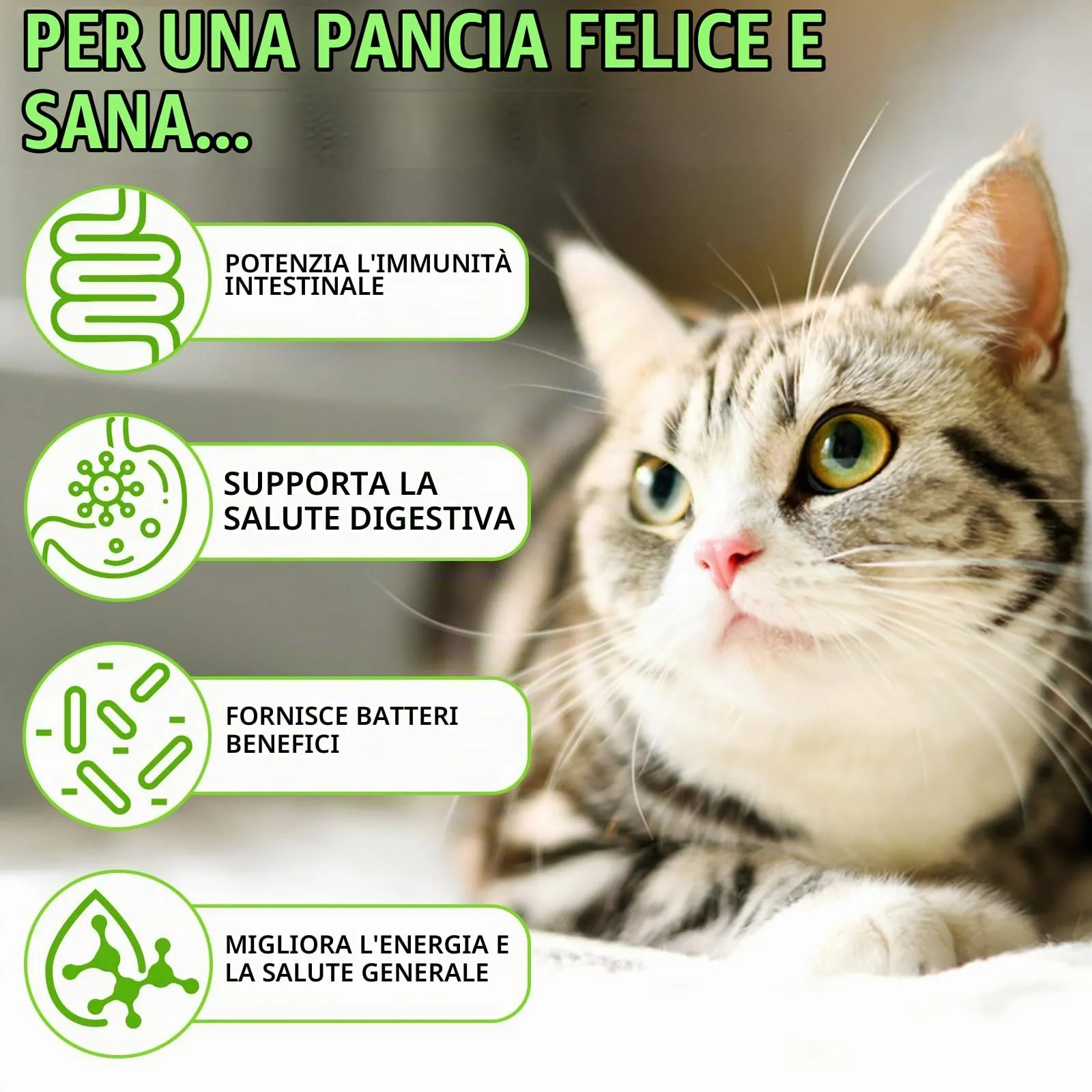 WANFAER Gocce Probiotiche 3 in 1 per Gatti con Enzimi Digestivi, 60 ml - immagine 6