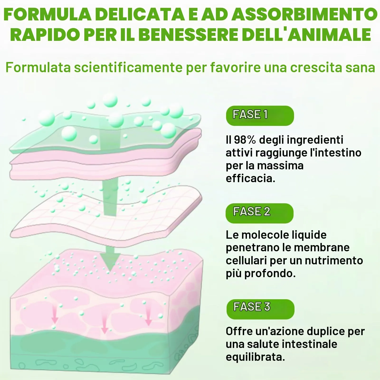 WANFAER Gocce Probiotiche 3 in 1 per Gatti con Enzimi Digestivi, 60 ml - immagine 7