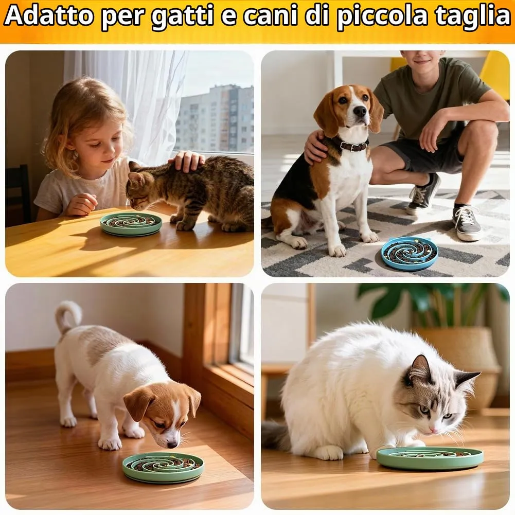 Alaoo Ciotola Anti Ingozzamento con Base Antiscivolo, 2 Pezzi, Verde e Blu - immagine 8