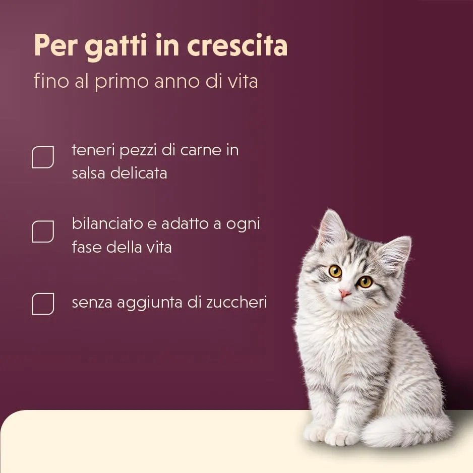 animonda Vom Feinsten Kitten per gatti in Salsa Raffinata (24x 85g) - immagine 4