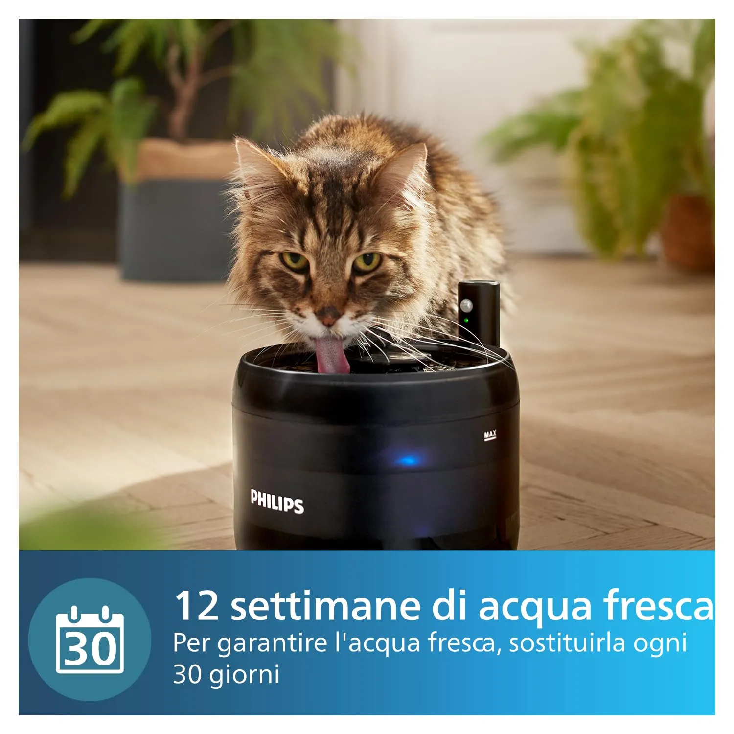 Philips Pet Filtri per Fontanella Gatti Multistrato, 3 pezzi - immagine 5