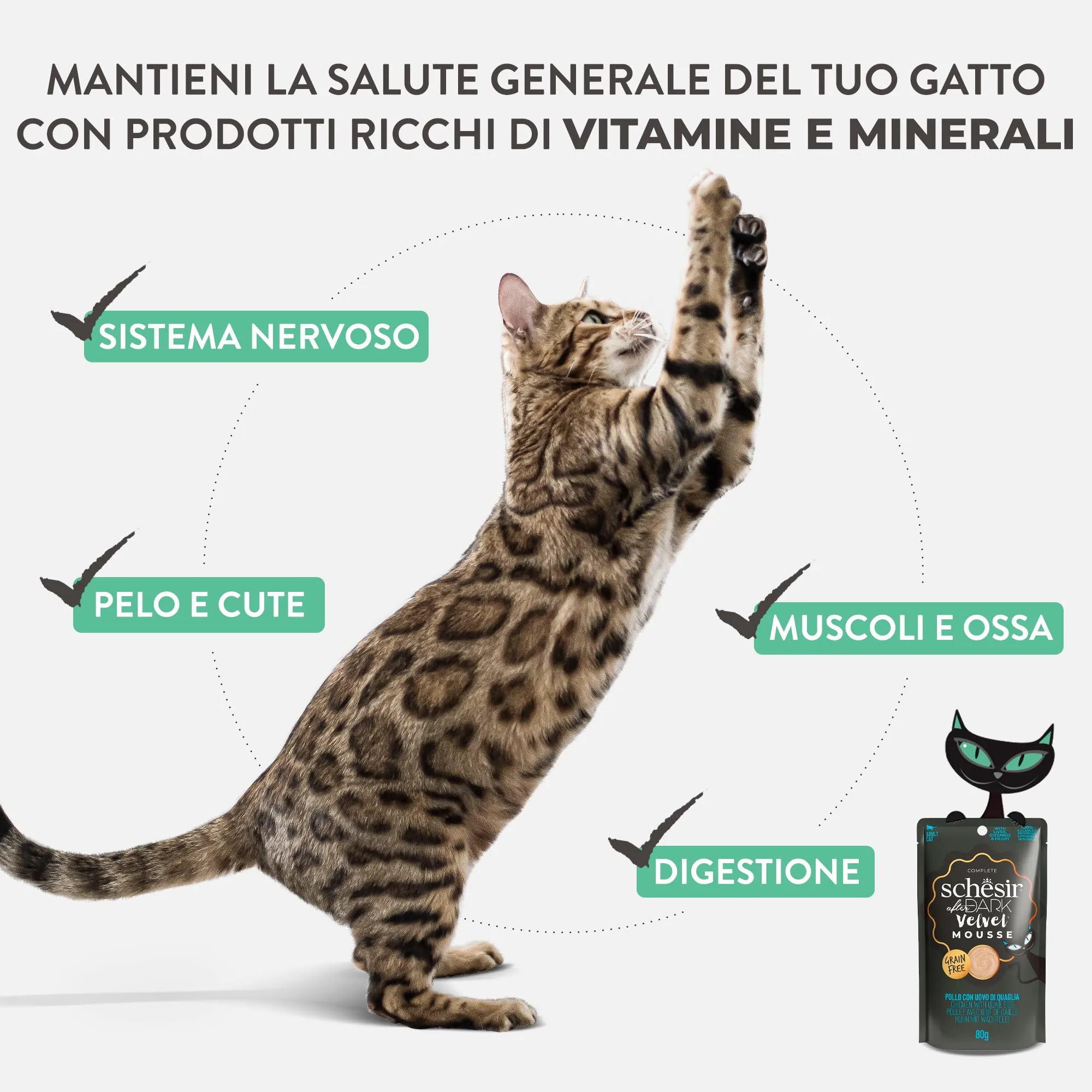 Schesir After Dark Filetti di Pollo con Uova di Quaglia in Mousse, Alimento Umido Completo per Gatti, Grain Free, 12 x 80 g - immagine 7