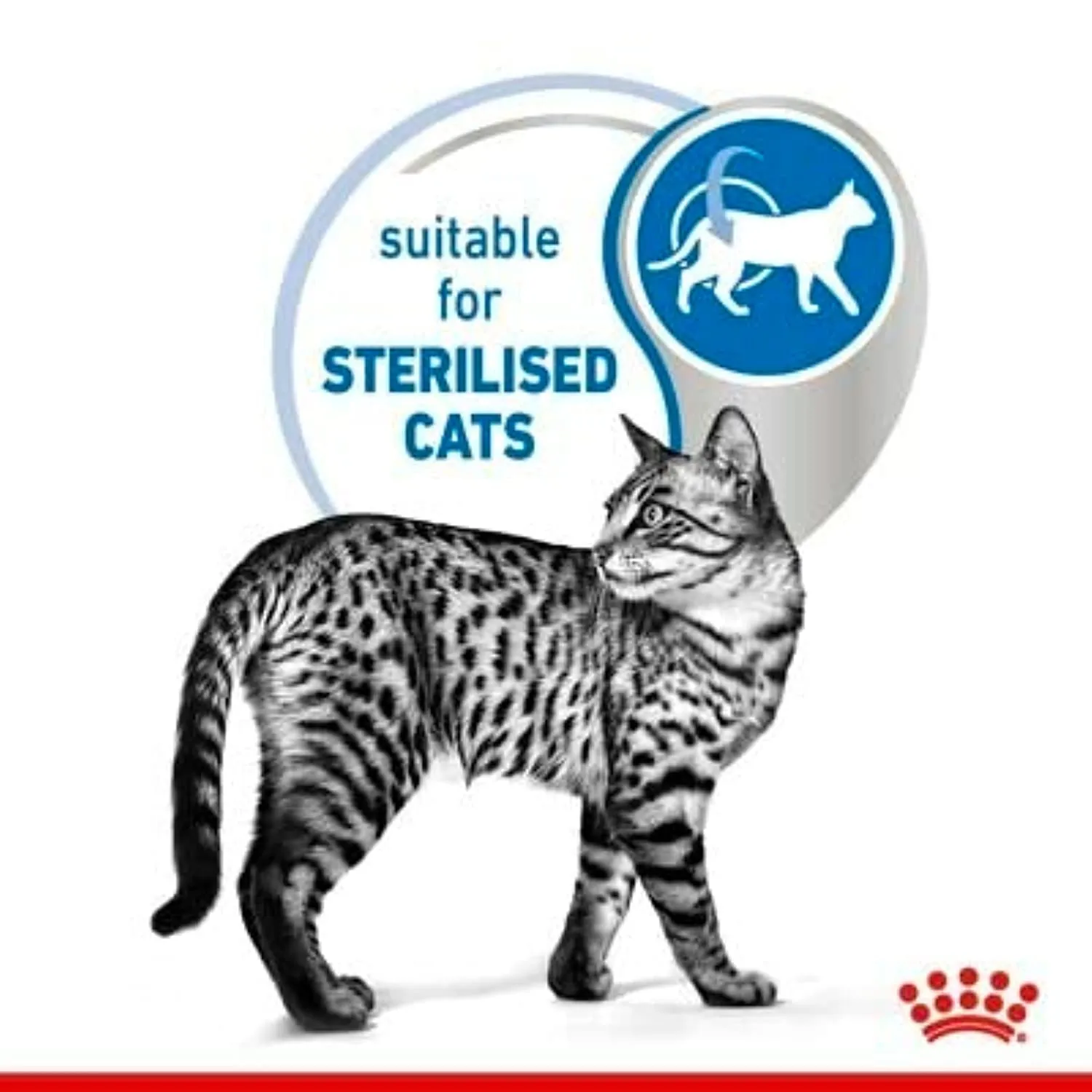 Royal Canin Indoor Sterilised in Gelatina, 2 x 12 x 85 g - immagine 7