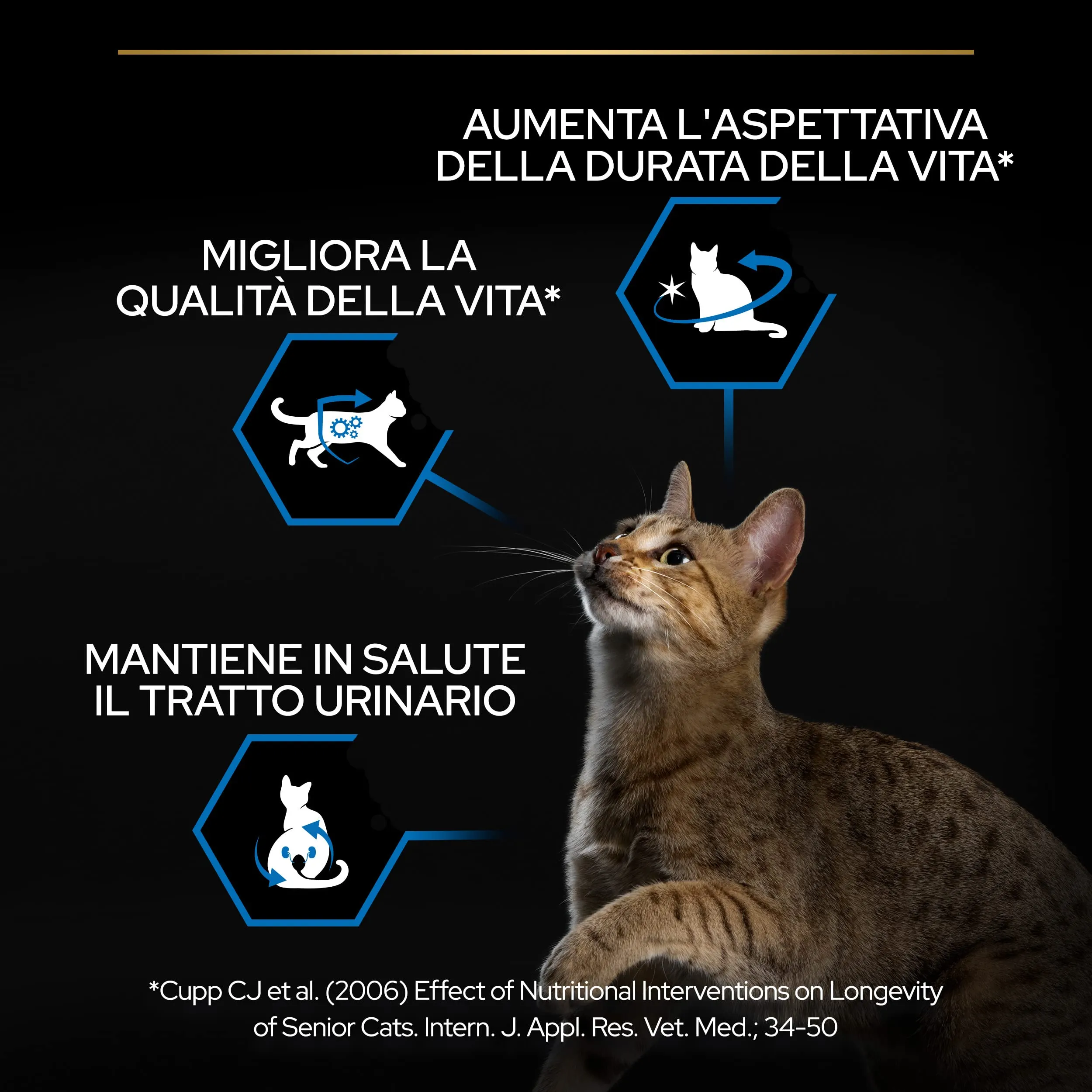 Purina Pro Plan Longevis Sterilised Senior 7+ Crocchette Gatti Ricco in Tacchino, 6 x 1,5 kg - immagine 3