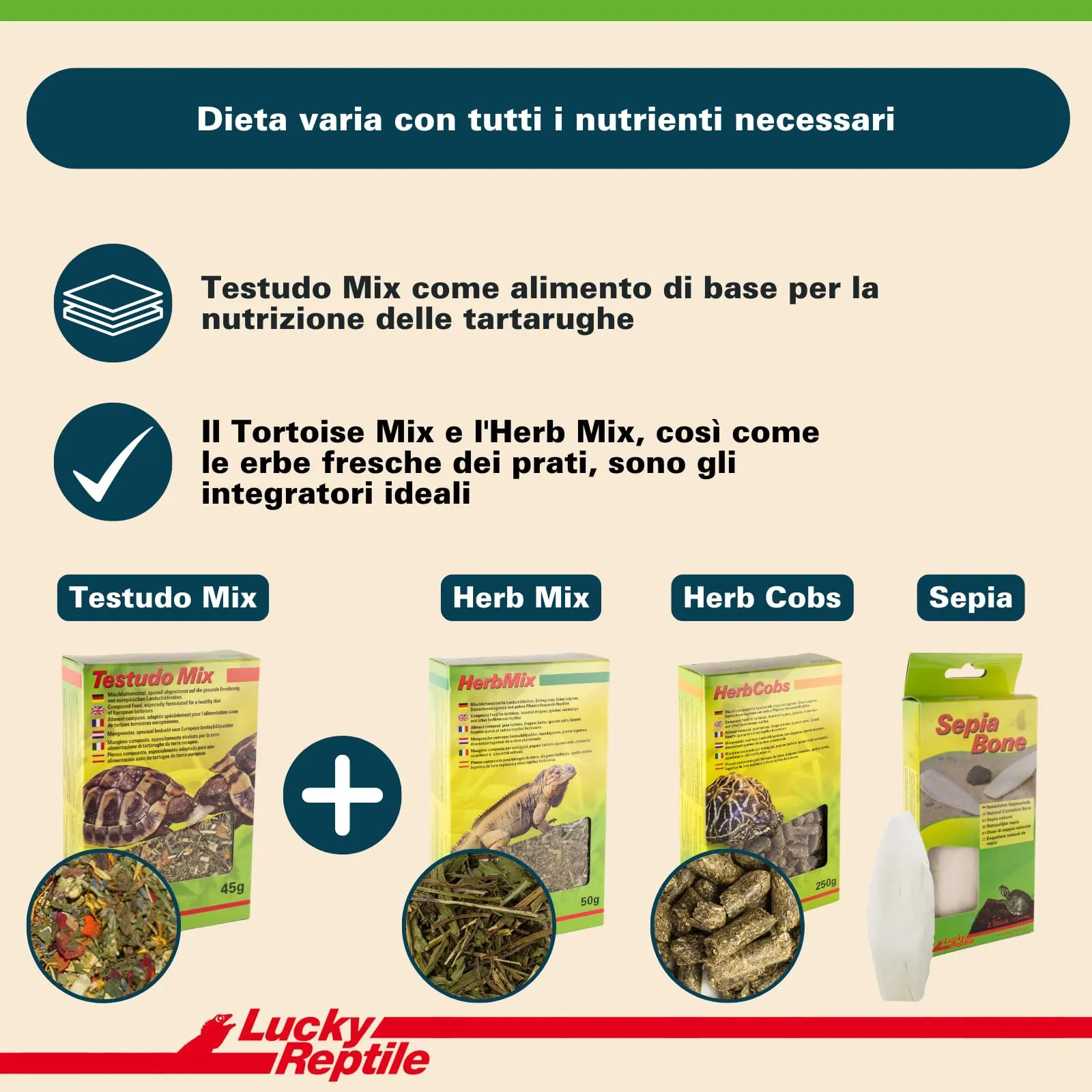 Lucky Reptile Testudo Mix, 80 g - immagine 3