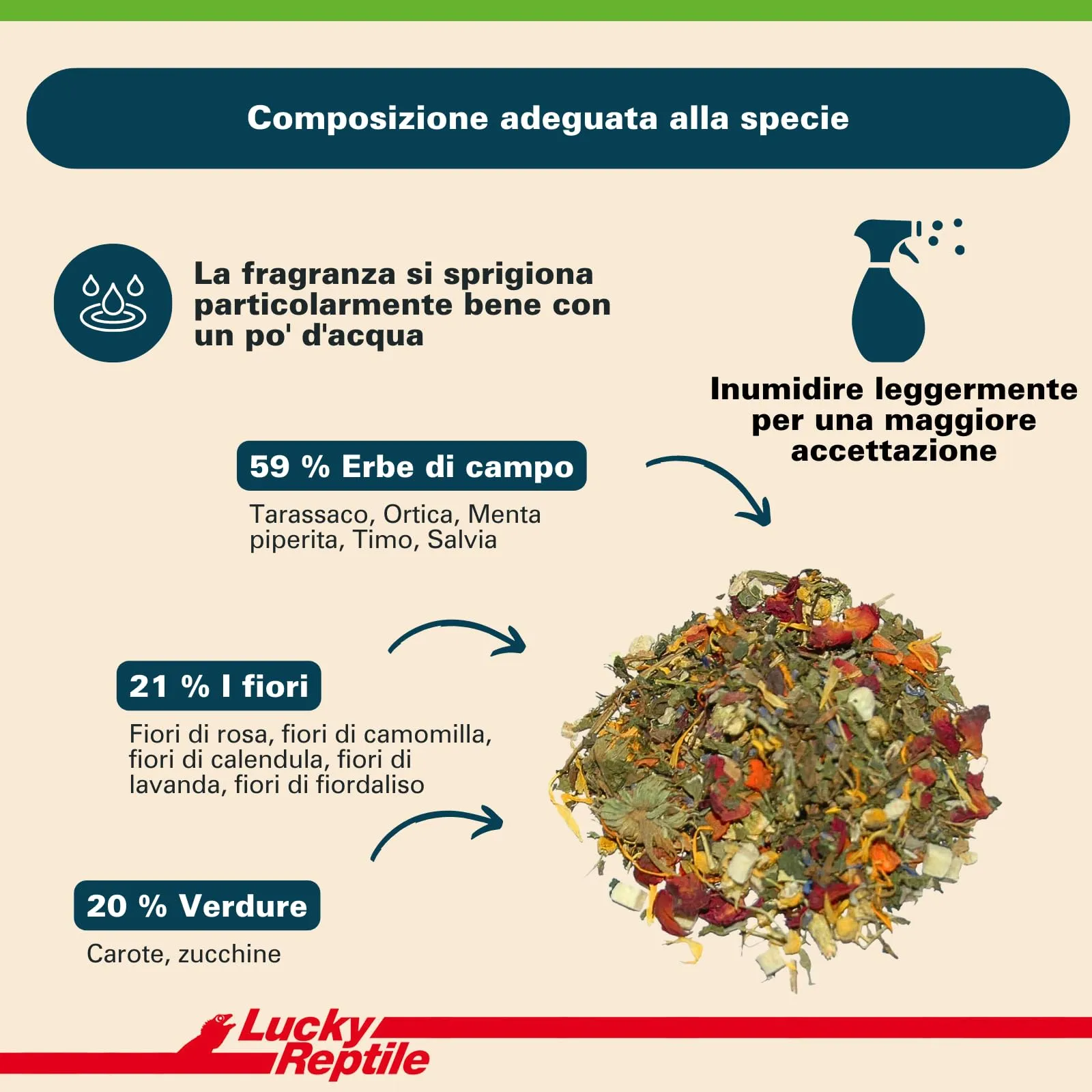 Lucky Reptile Testudo Mix, 80 g - immagine 4