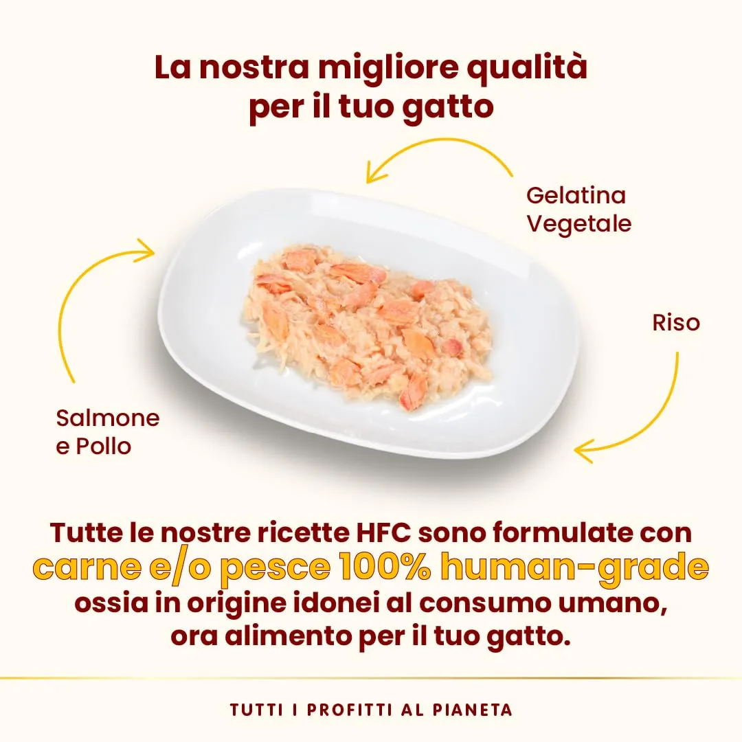 Almo Nature HFC Jelly Alimento Umido per Gatti Adulti Salmone e Pollo 70g (Confezione da 24) - immagine 3