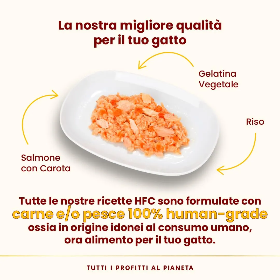 Almo Nature HFC Jelly Salmone con Carota per Gatti Adulti, 70g (Confezione da 24) - immagine 3