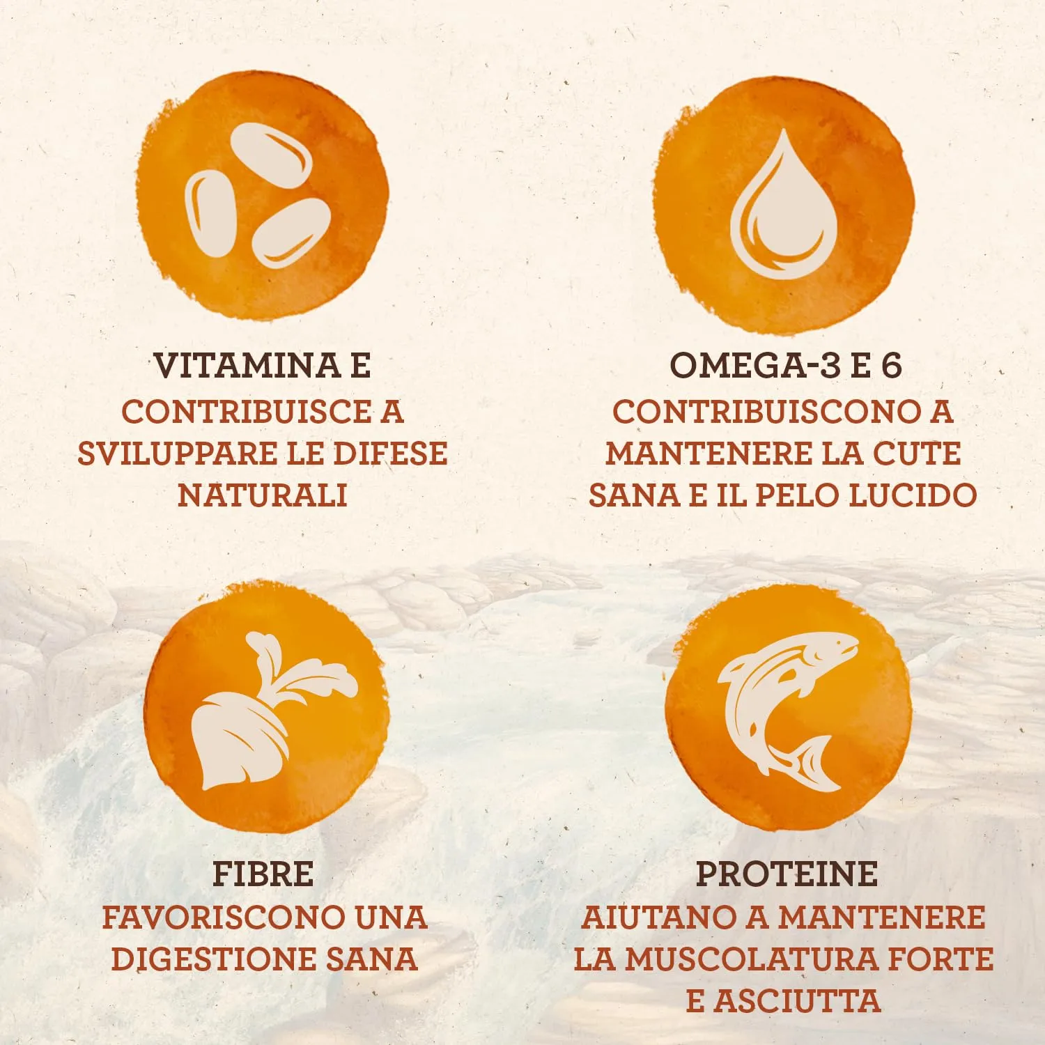 IAMS Naturally Cibo secco per gatti al salmone e riso, 2,7 kg - immagine 3