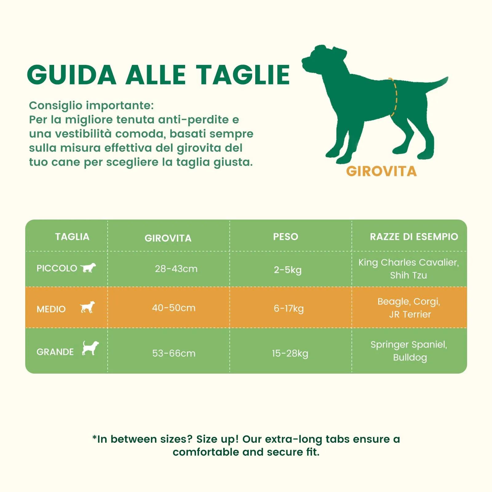 Gardner Pet Pannolini per Cani Maschi, Taglia M, 30 Pezzi - immagine 2