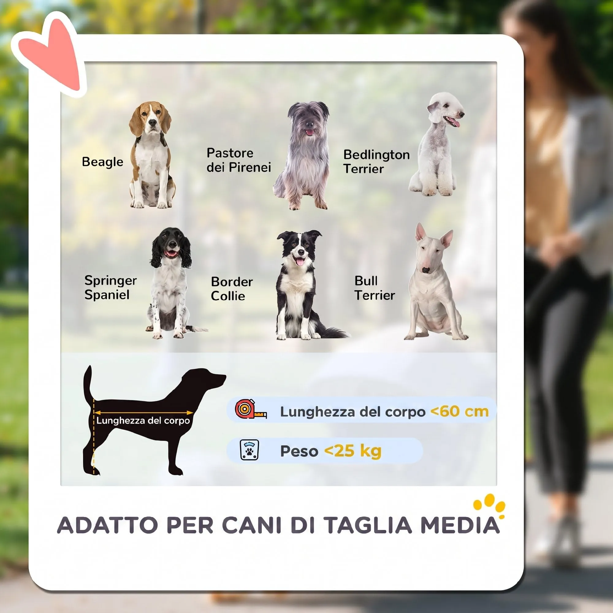PawHut Passeggino per Cani Taglia Media Pieghevole con Cuscino, Verde Scuro - immagine 4