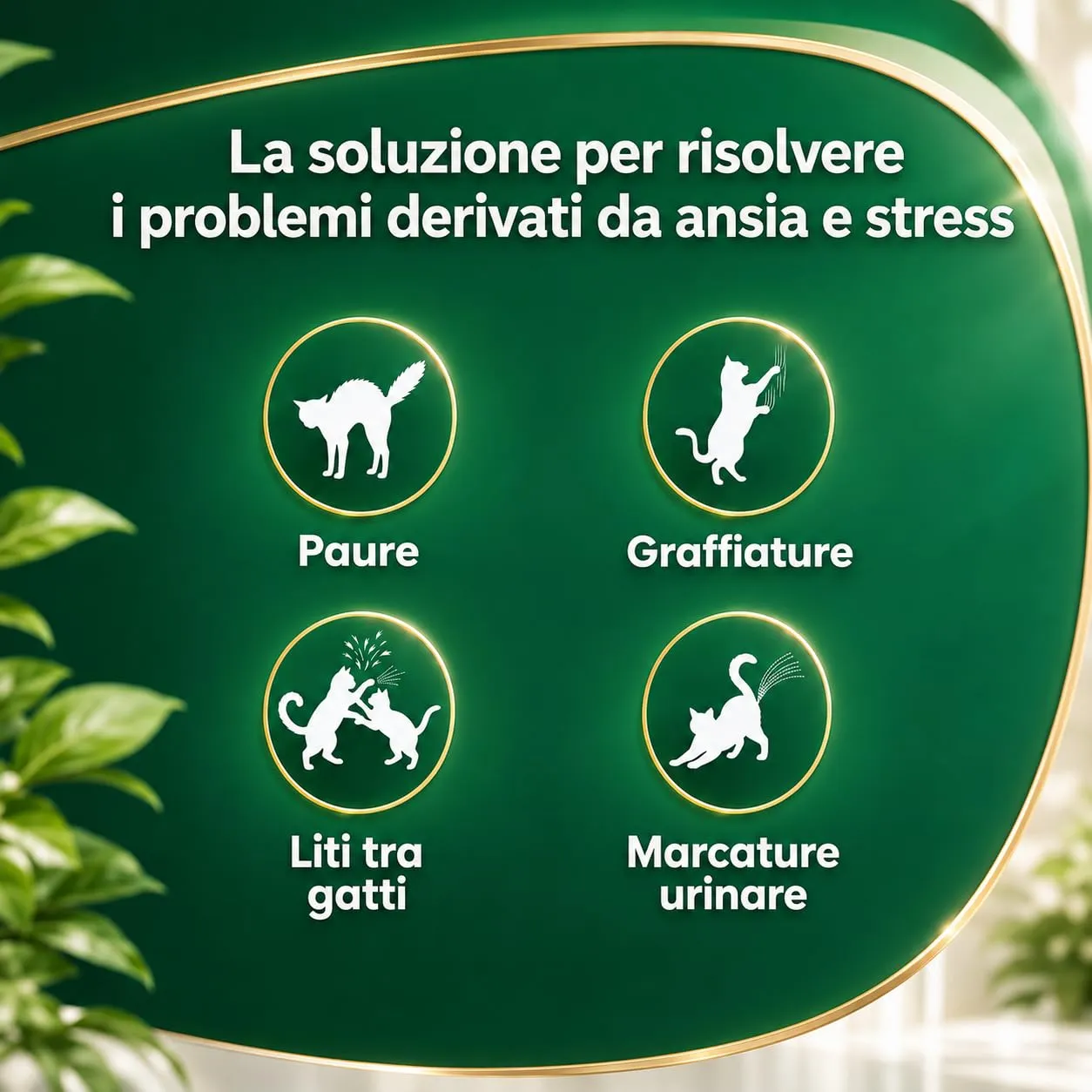 Generico Diffusore Calmante per Gatti, Kit 1 Diffusore + 2 Ricariche 60 Giorni, Feromoni Antistress per Gatti Adulti e Cuccioli - immagine 4