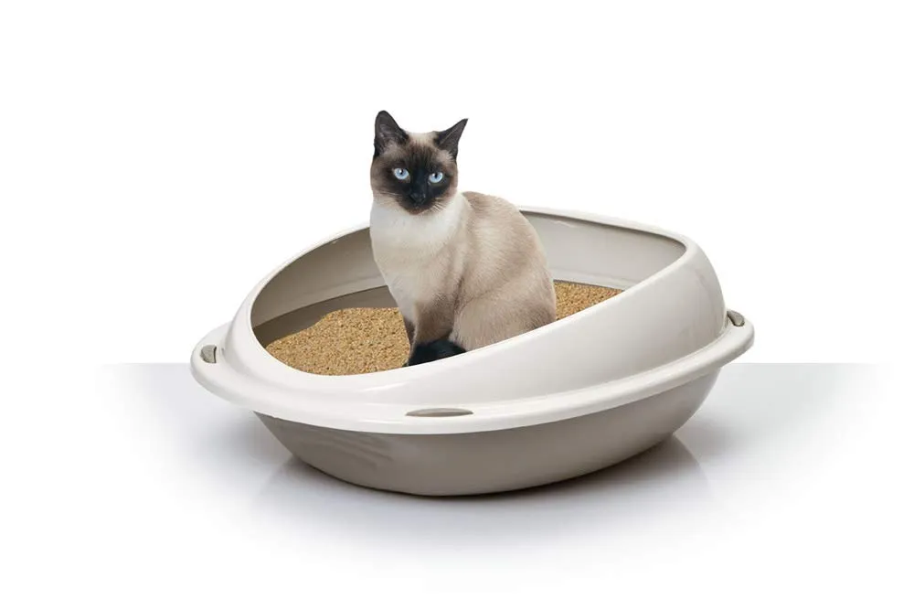 Aimé Lettiera Gatto Ovale con Bordo Amovibile, 45 x 36 x 15,5 cm - immagine 2