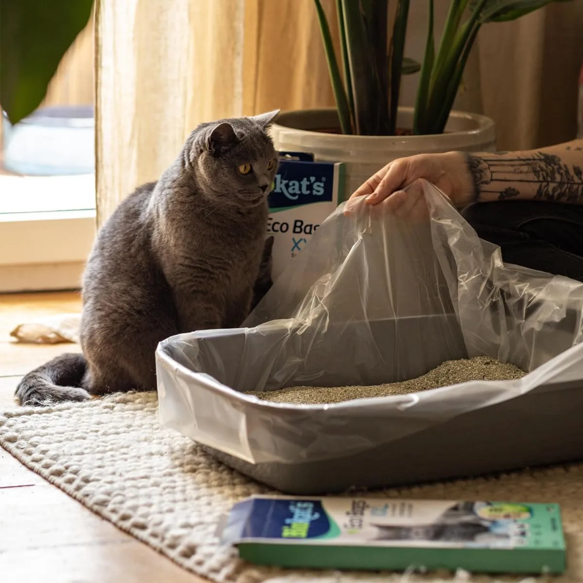Biokat's Sacchetti Bags XXL per Toilette del Gatto, 12 unità - immagine 4