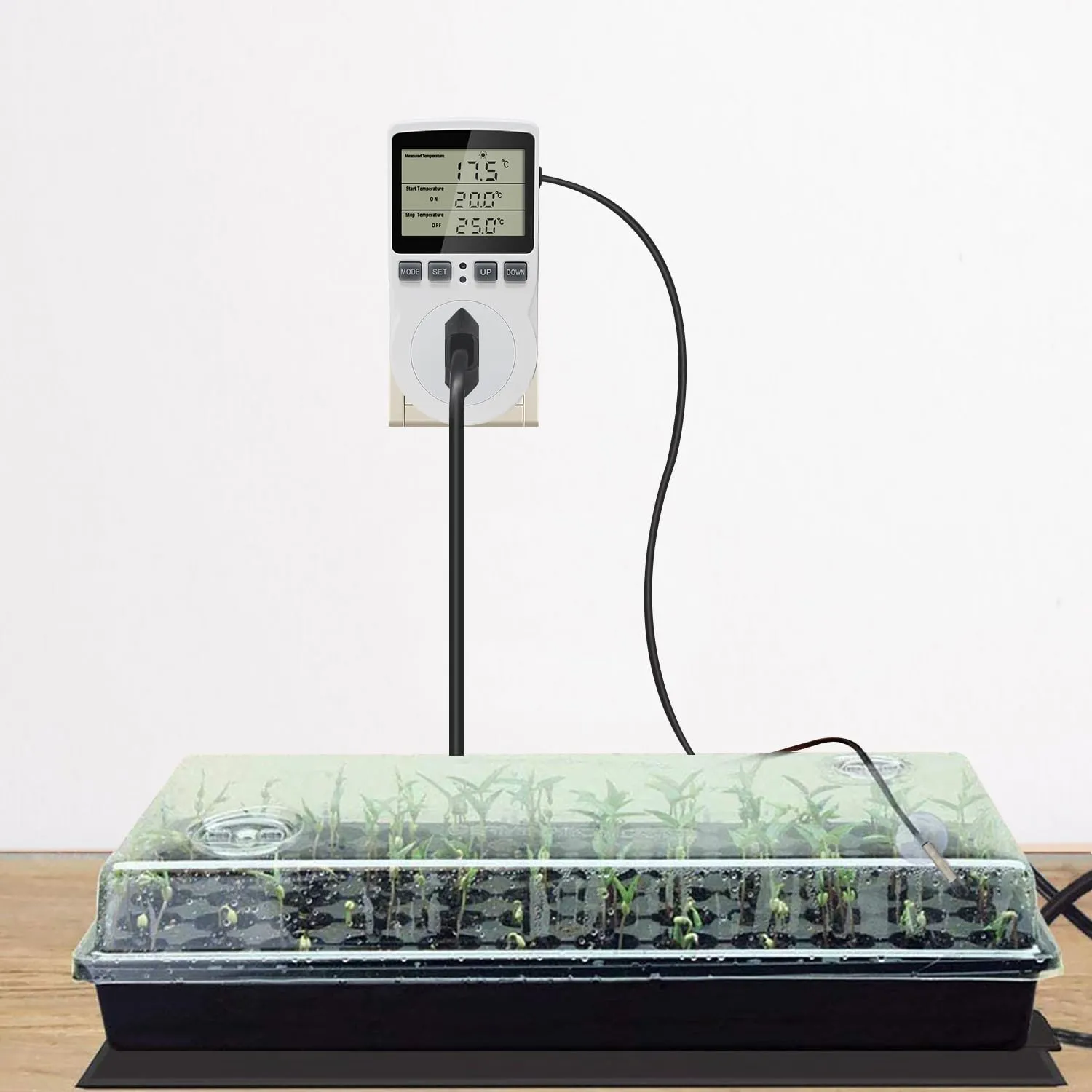 KETOTEK Presa Termostato Digitale con Sonda 220V KT3100 IT per Riscaldamento e Raffreddamento - immagine 6