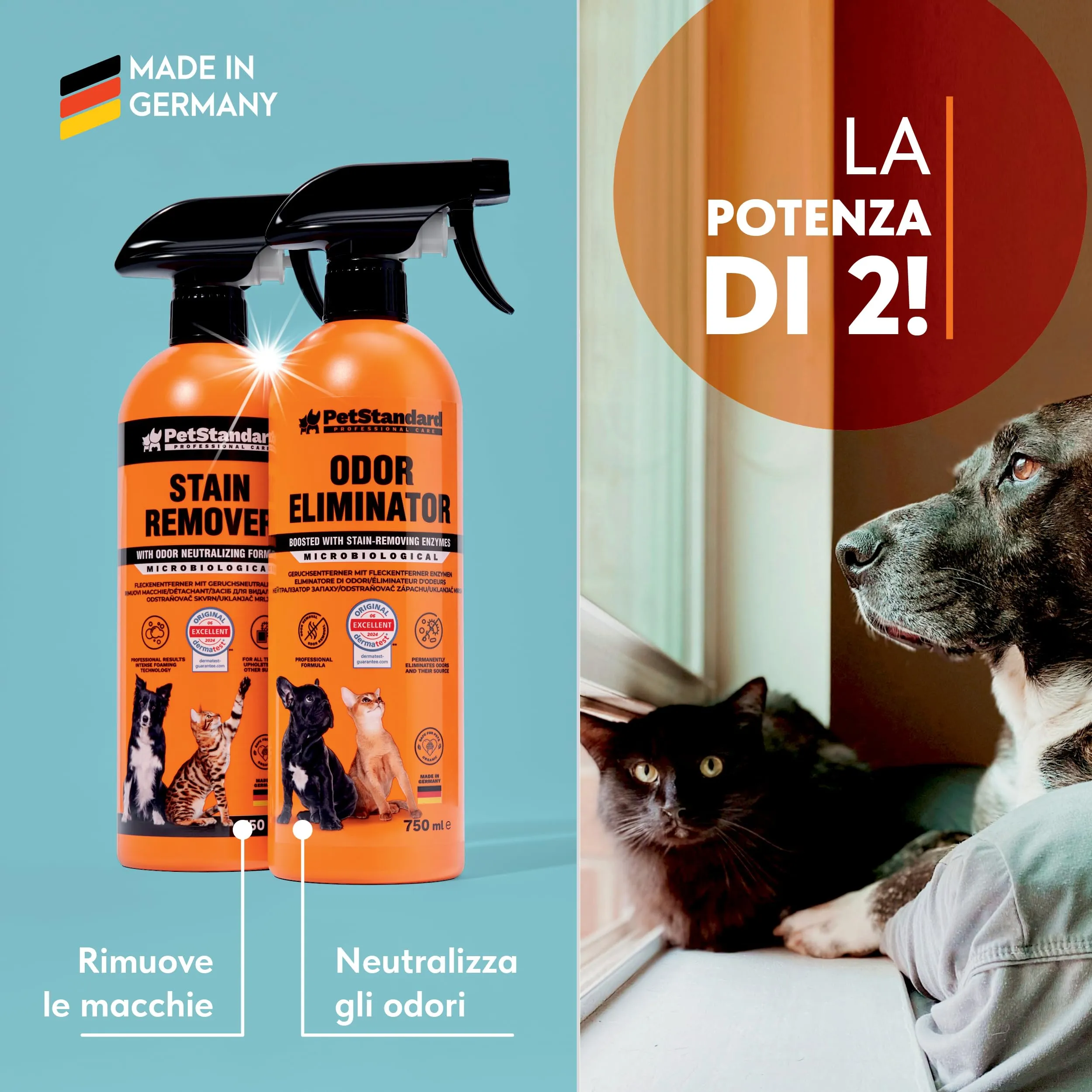 Petstandard Detergente Enzimatico Smacchiatore e Elimina Odori per Urina e Feci di Cane e Gatto, 750ml - immagine 8