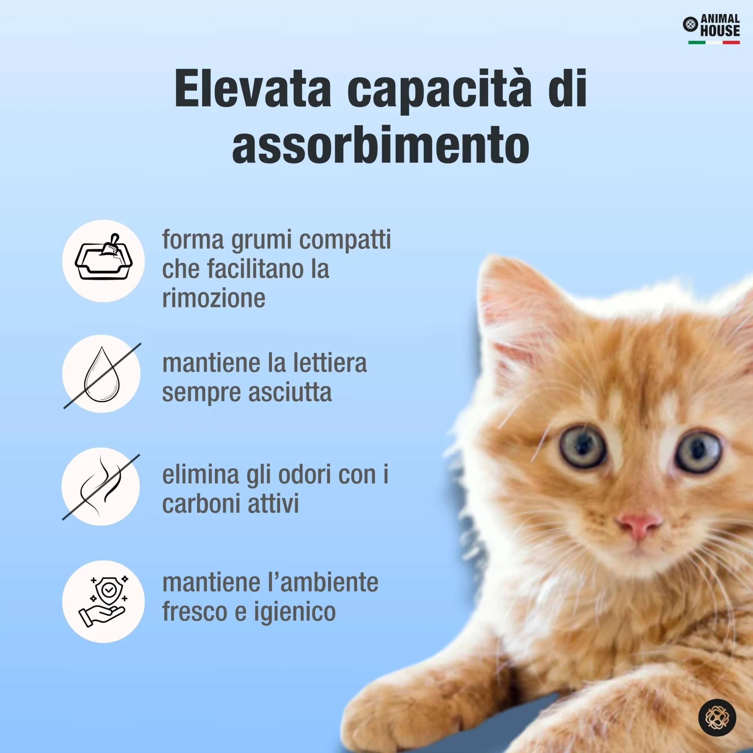 Animal House Toilet Time Carboni Attivi, 6L - immagine 4