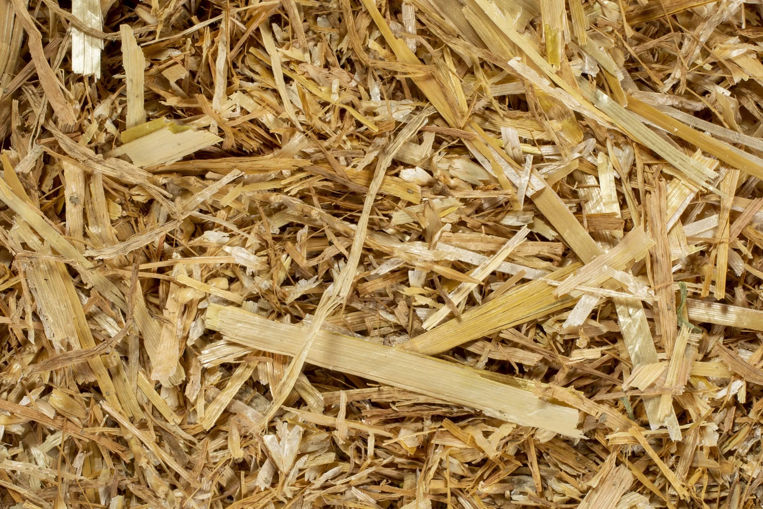 Generico Lettiera in Paglia Bio 1 kg per Piccoli Animali, Conigli, Roditori, Polli, Porcellini d'India e Cavalli - immagine 3