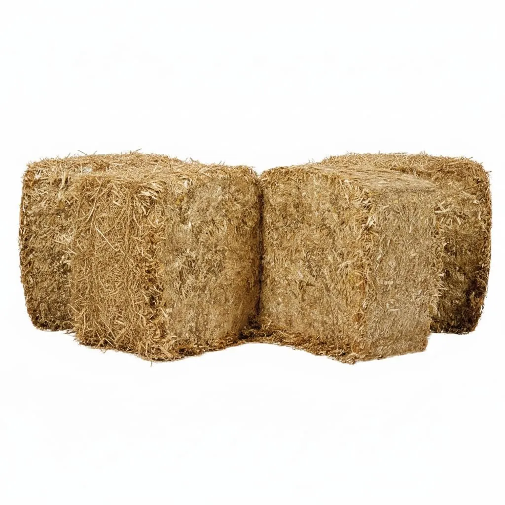 Generico Lettiera in Paglia Bio 1 kg per Piccoli Animali, Conigli, Roditori, Polli, Porcellini d'India e Cavalli - immagine 6