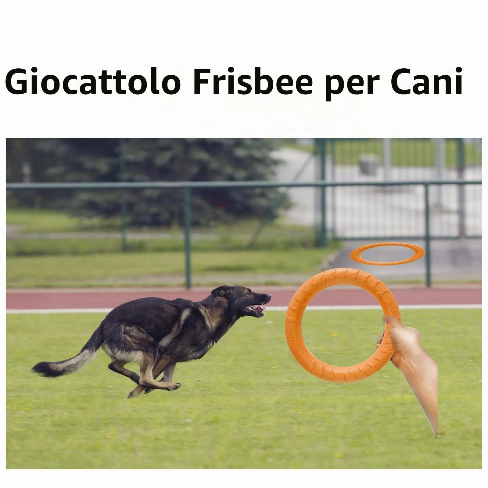 QEEROYO Anello per Morso e Frisbee Galleggiante per Cani, Arancione, 18 cm - immagine 7