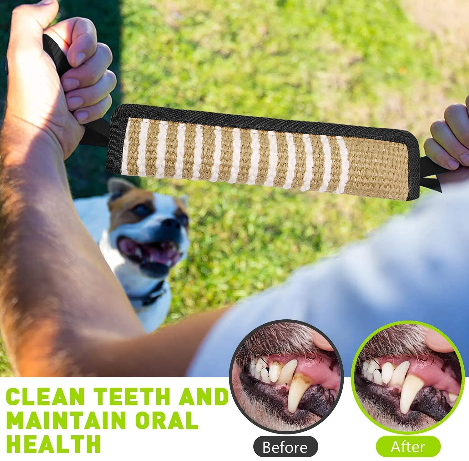 winbarry Manicotto per Cani, 30cm, 2 Maniglie per Addestramento e Gioco - immagine 3