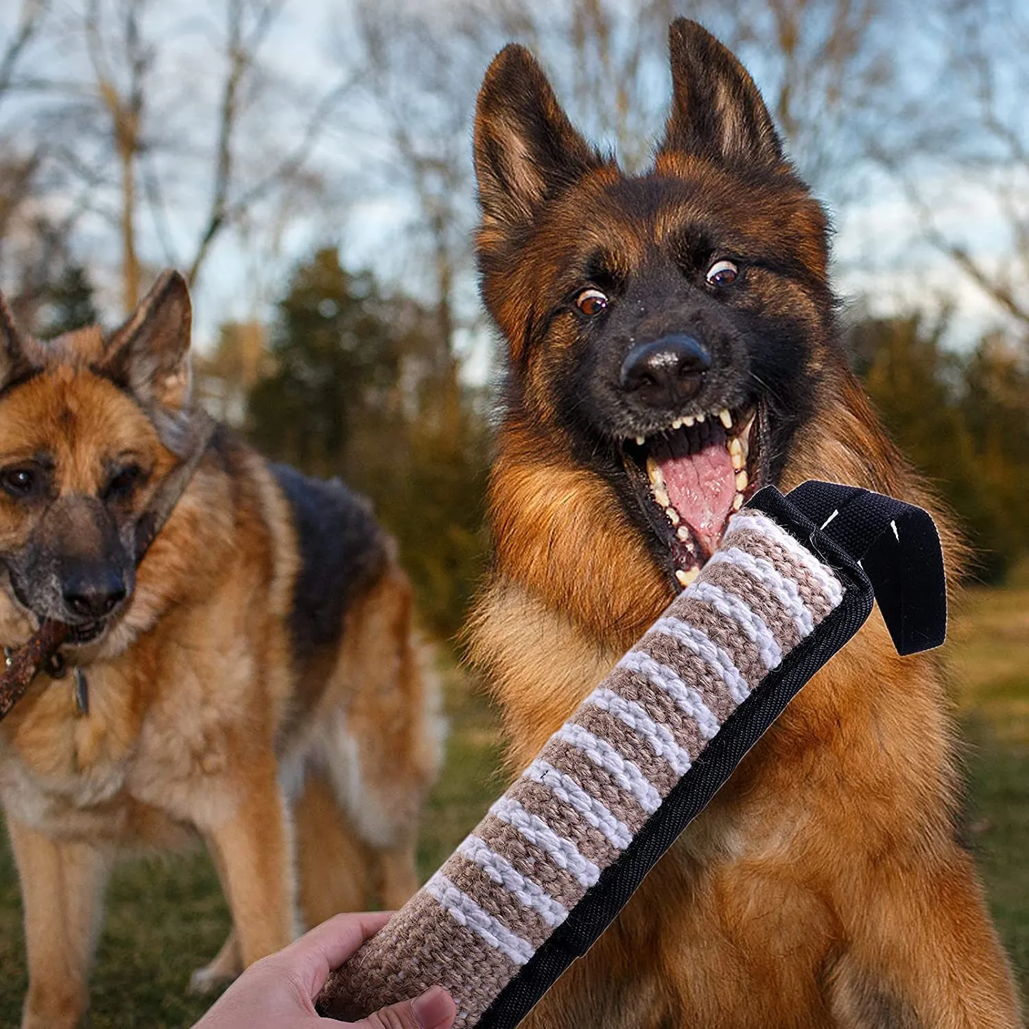 winbarry Manicotto per Cani, 30cm, 2 Maniglie per Addestramento e Gioco - immagine 8