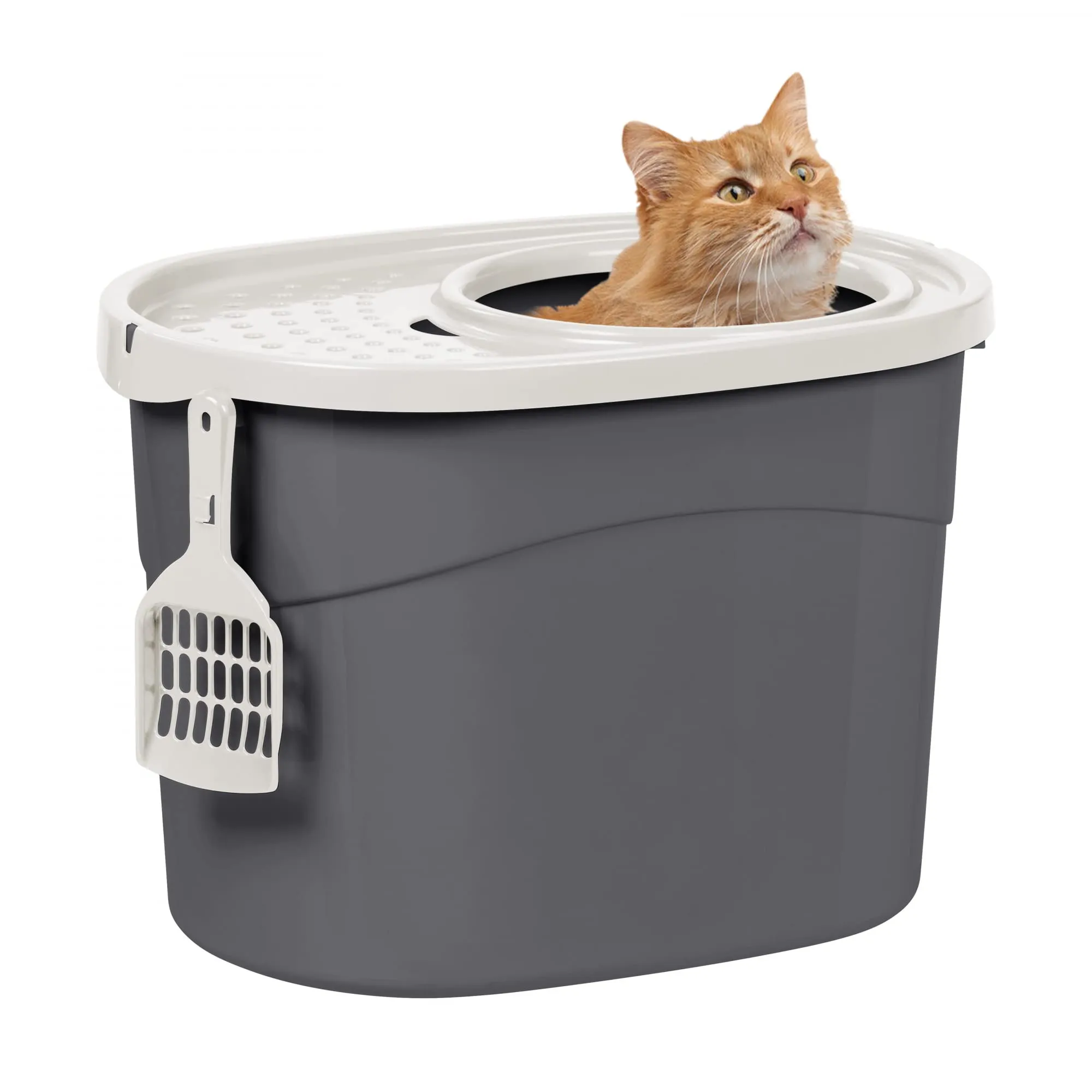 Iris Ohyama Lettiera per Gatti Chiusa con Ingresso Top, Grigio, TECL-20 - immagine 1