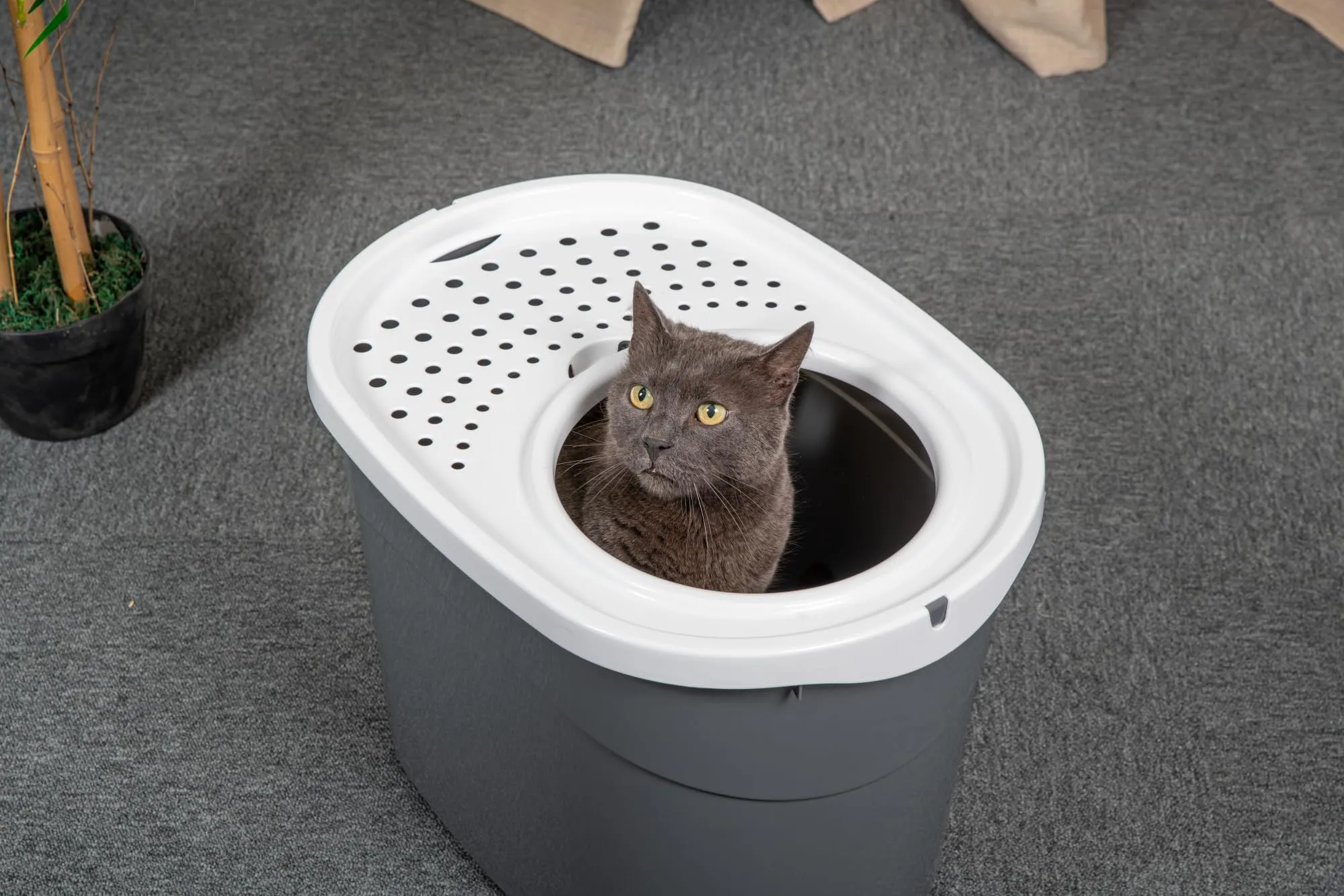 Iris Ohyama Lettiera per Gatti Chiusa con Ingresso Top, Grigio, TECL-20 - immagine 3