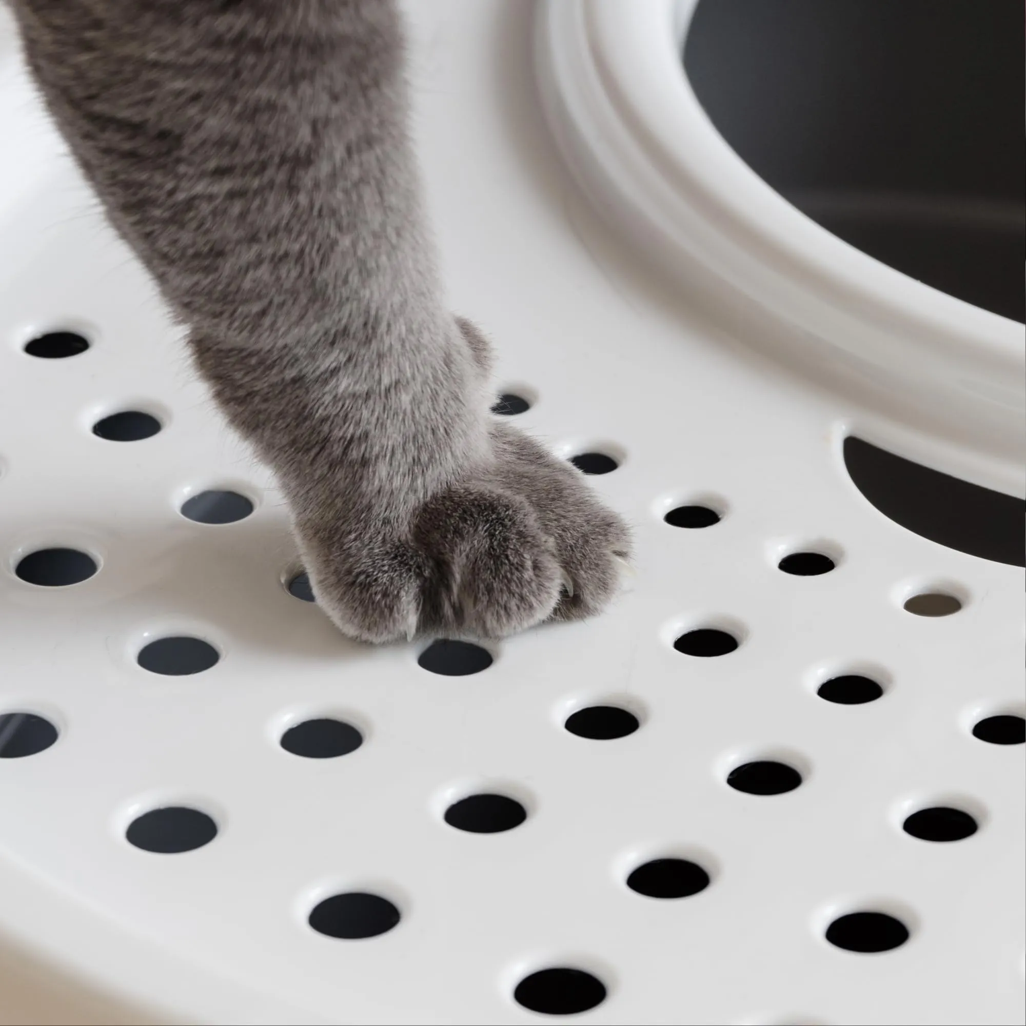 Iris Ohyama Lettiera per Gatti Chiusa con Ingresso Top, Grigio, TECL-20 - immagine 6