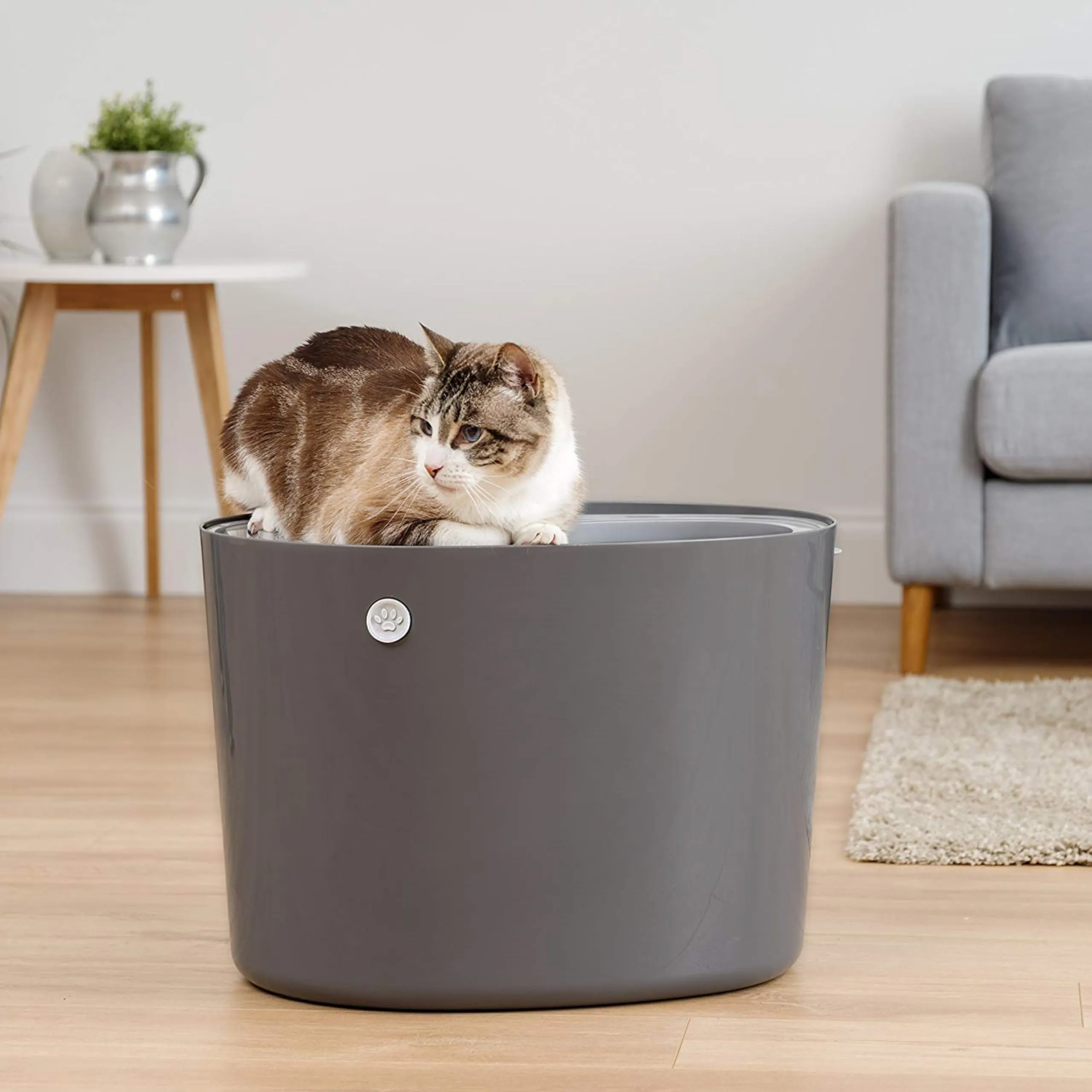 Iris Ohyama Lettiera per Gatti Chiusa con Ingresso Top e Pala, Grigio, PUNT-530 - immagine 3